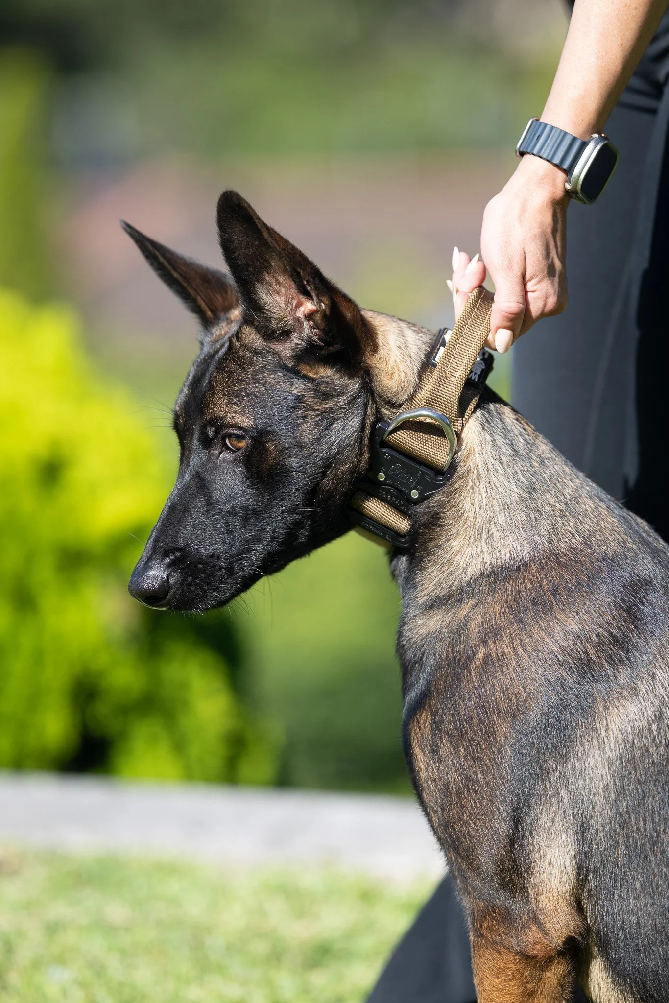 WLK9 Patrol Handle Collar