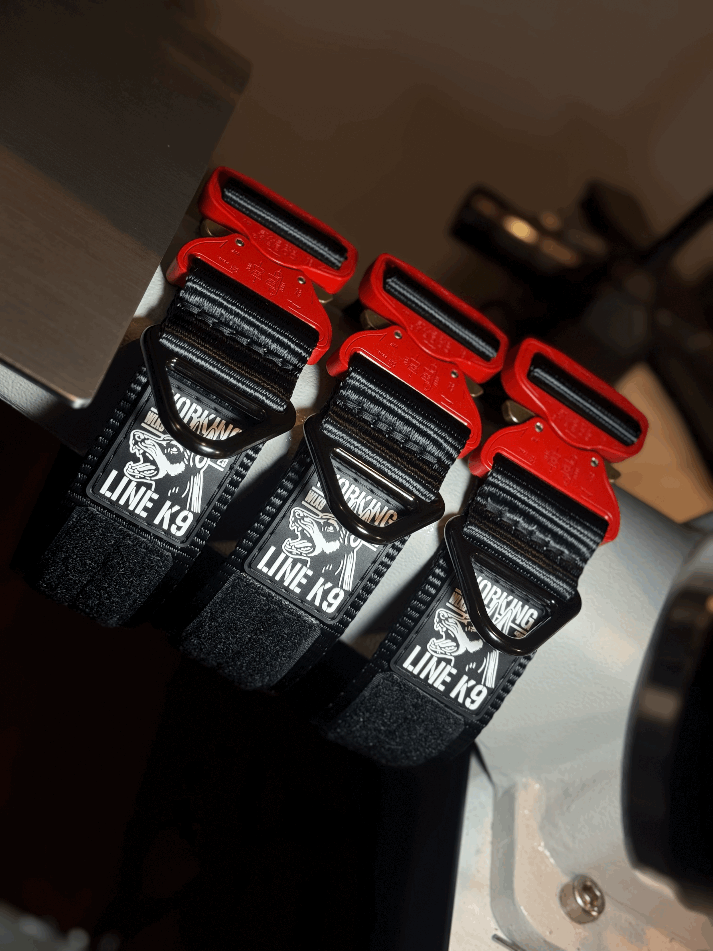 2inch Flat Collar - Red Cobra Buckle