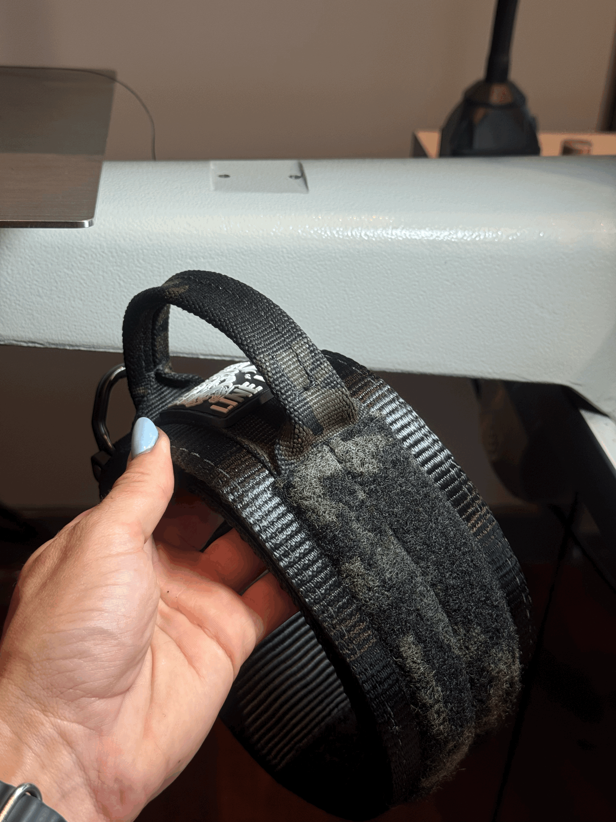 tempImage97S6Ue.gif