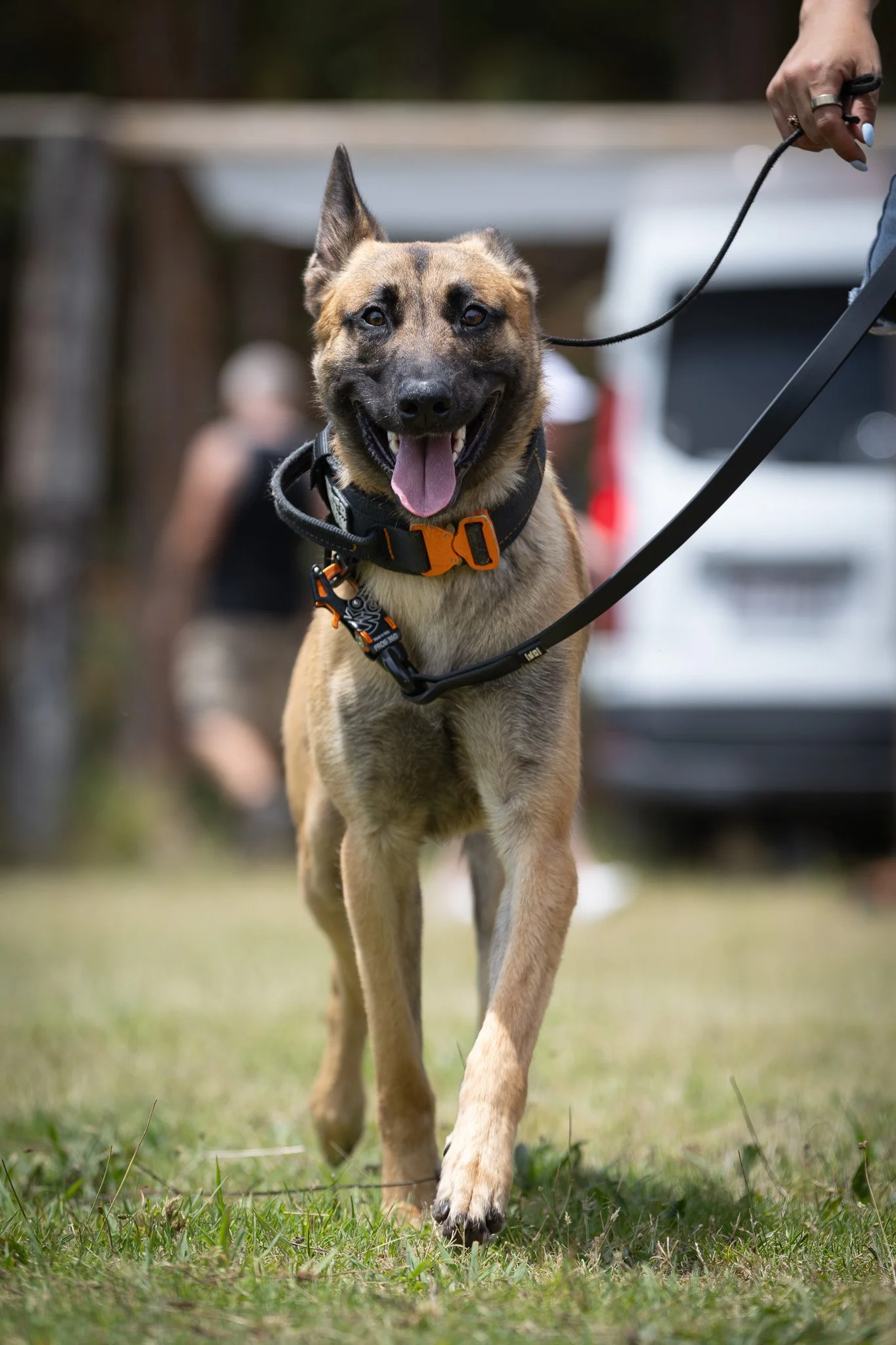 3inch Black & Orange