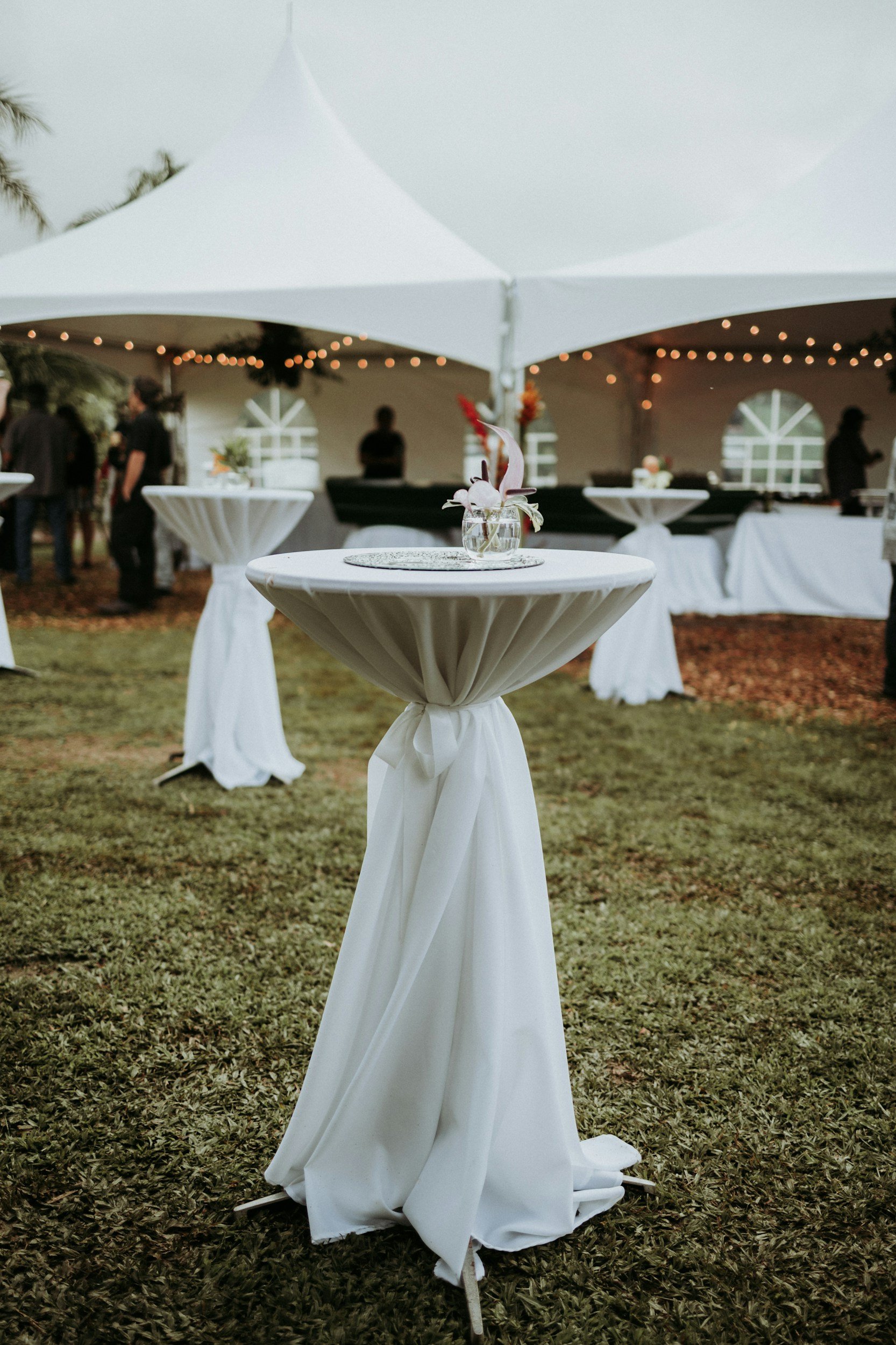 unsplash-image-gOCpvLq2OzY.jpg
