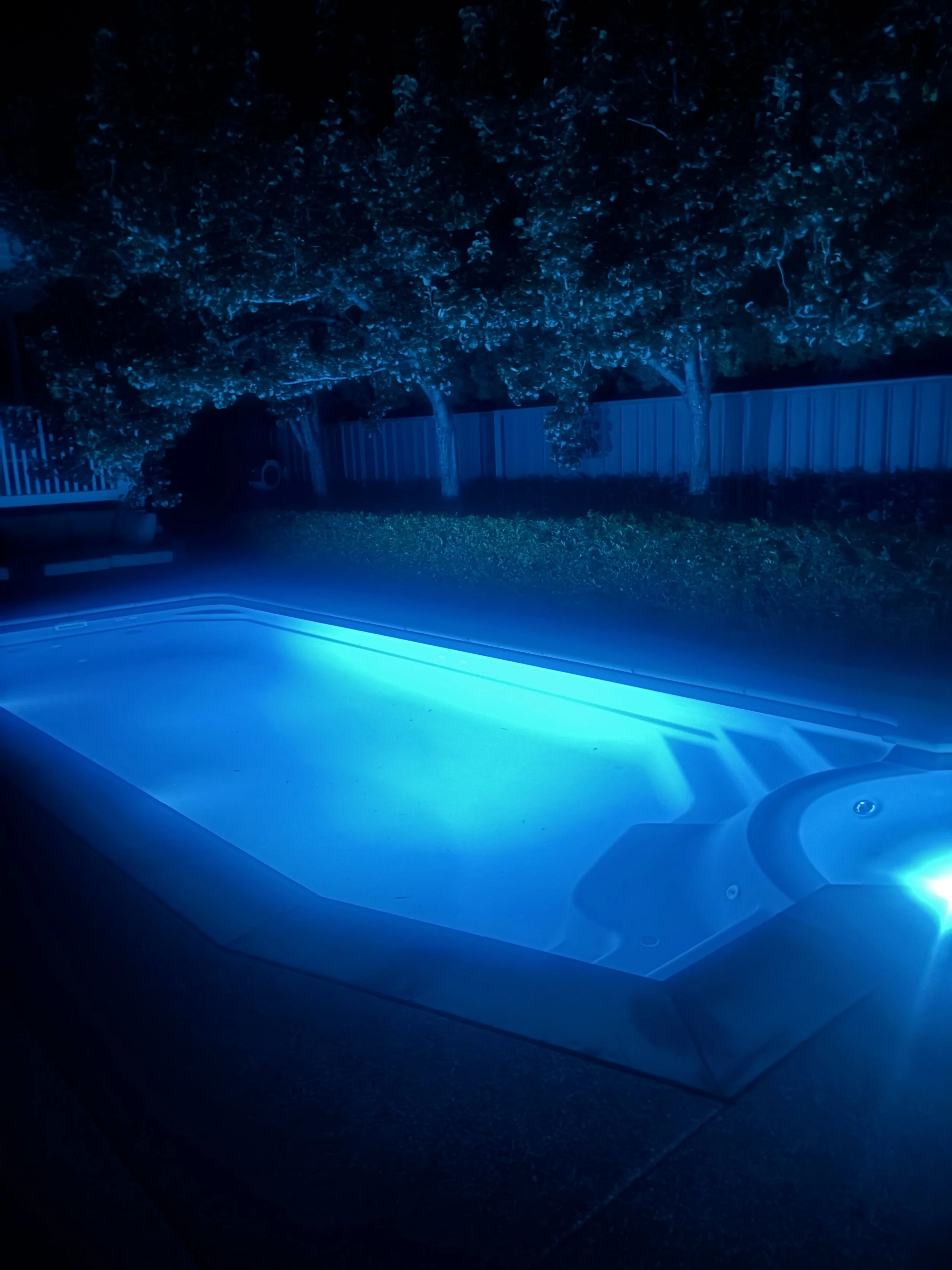A backyard swimming pool illuminated by blue LED lights at night, with trees and a fence in the background.