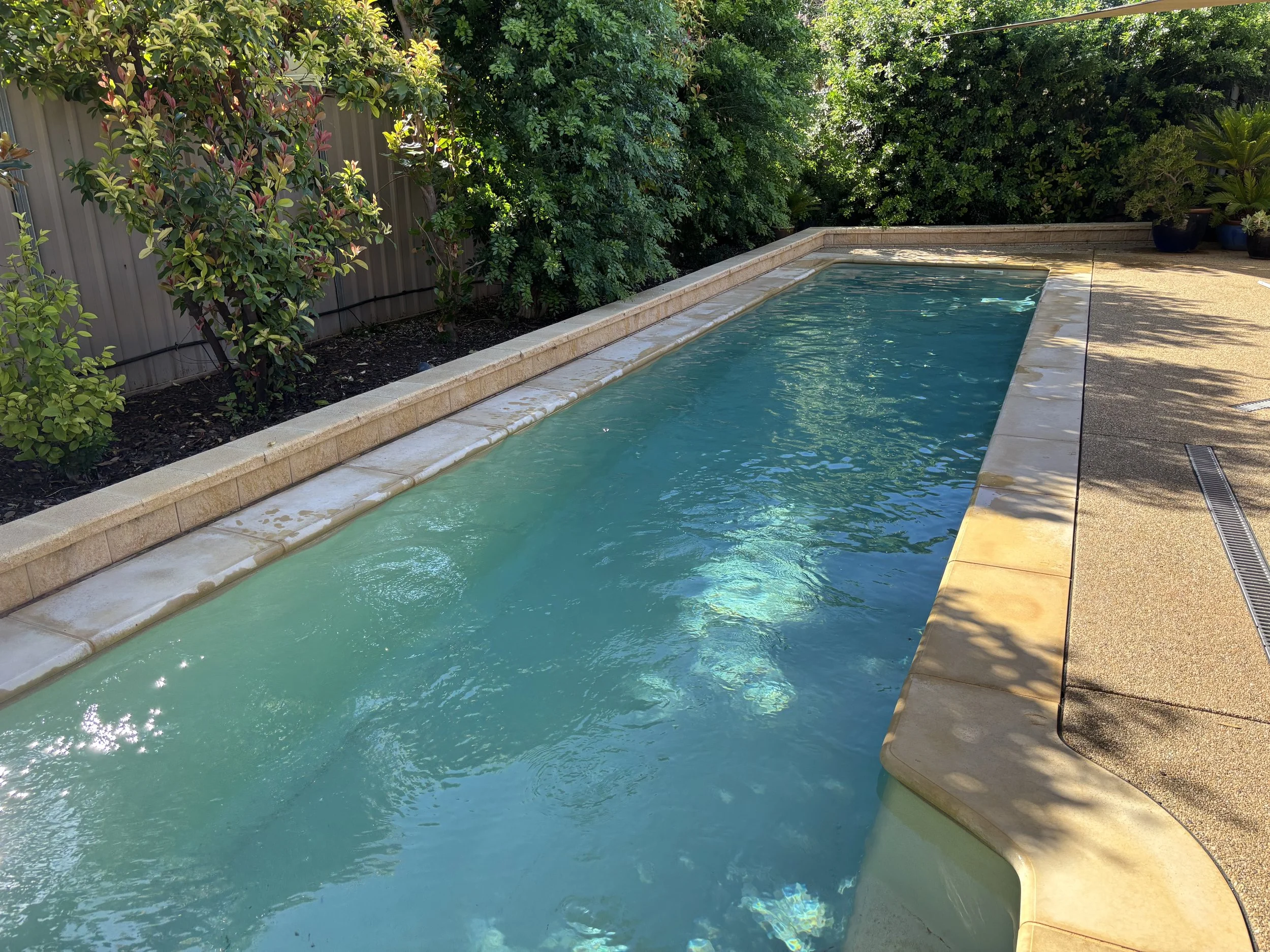An outdoor rectangular swimming pool surrounded by a concrete deck and green bushes, with sunlight casting shadows on the deck.