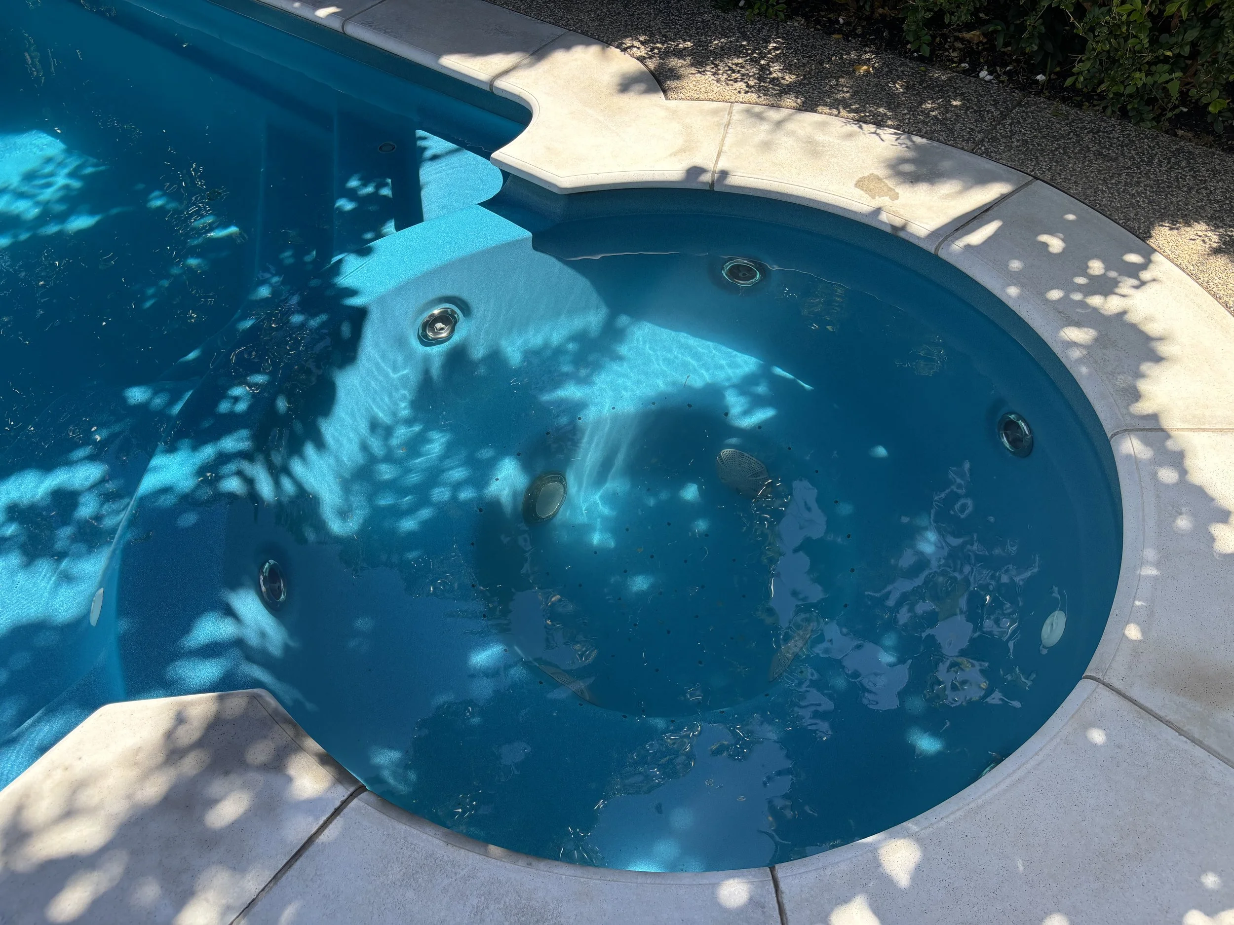Empty hot tub with blue water, surrounded by a concrete deck, with shadows from nearby bushes or trees.