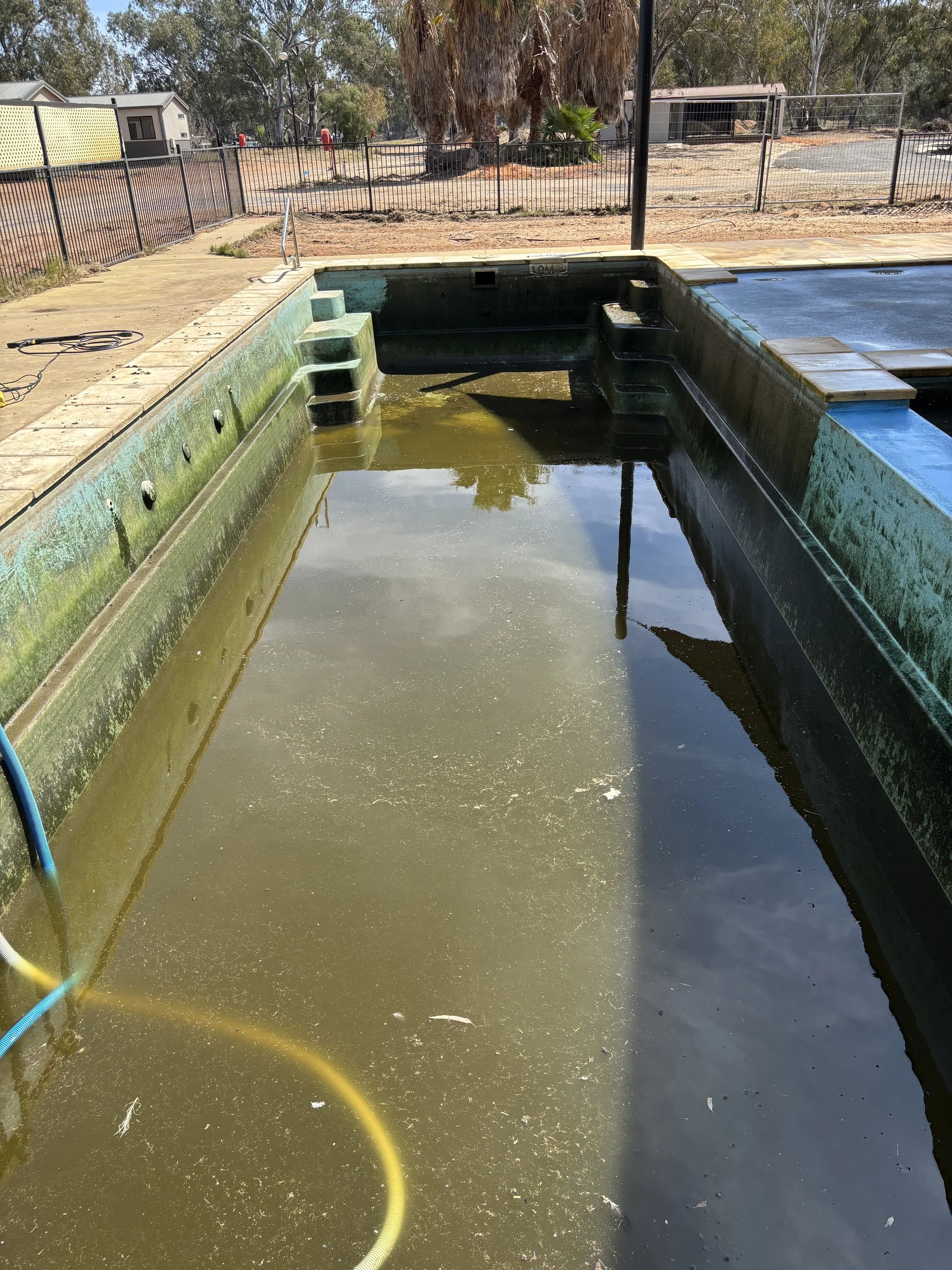 Empty swimming pool filled with dirty, stagnant water and algae, with a yellow hose submerged in the water and a metal fence in the background.