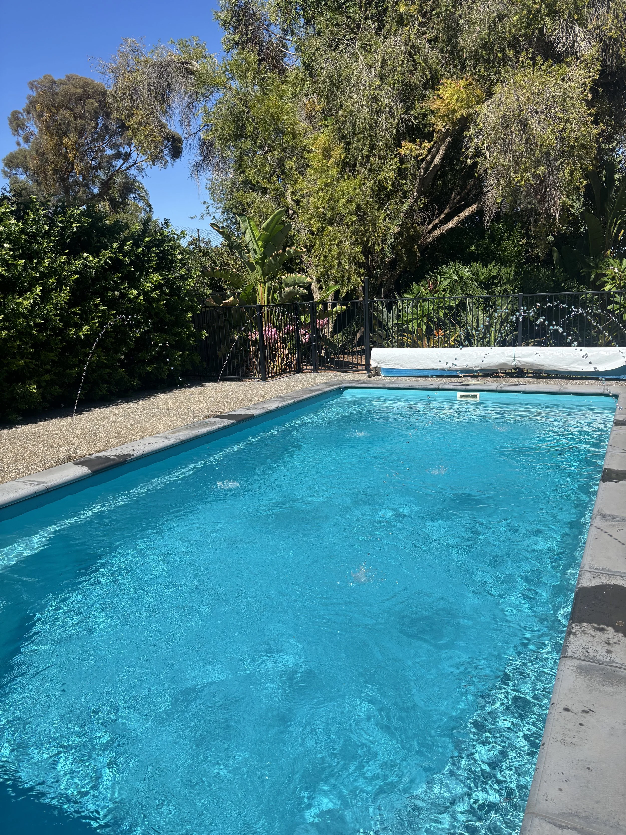 An outdoor swimming pool surrounded by lush greenery and trees, with water spraying from a garden hose on left side.