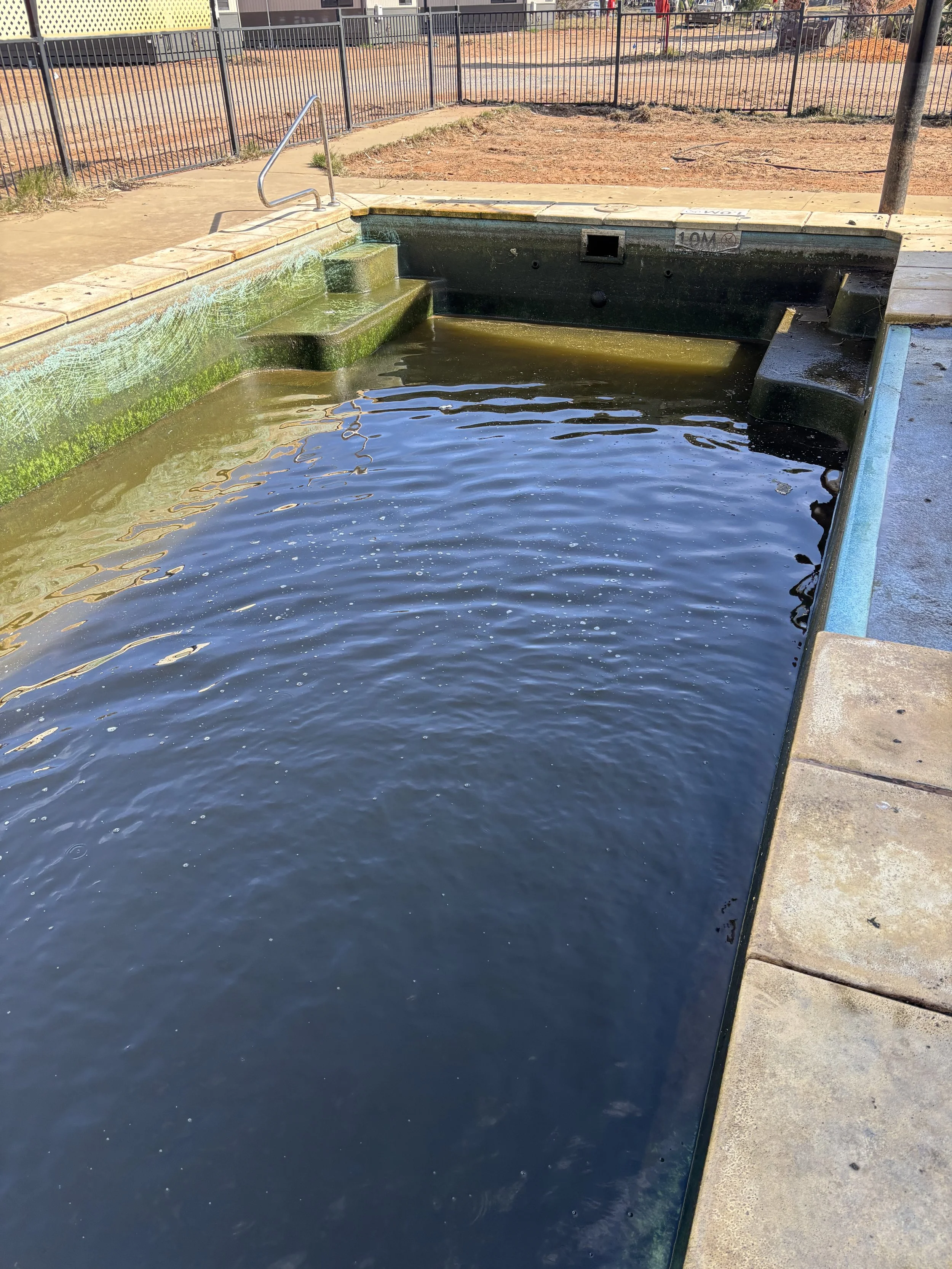Empty swimming pool with green algae buildup on the sides and water that appears dirty and stagnant.