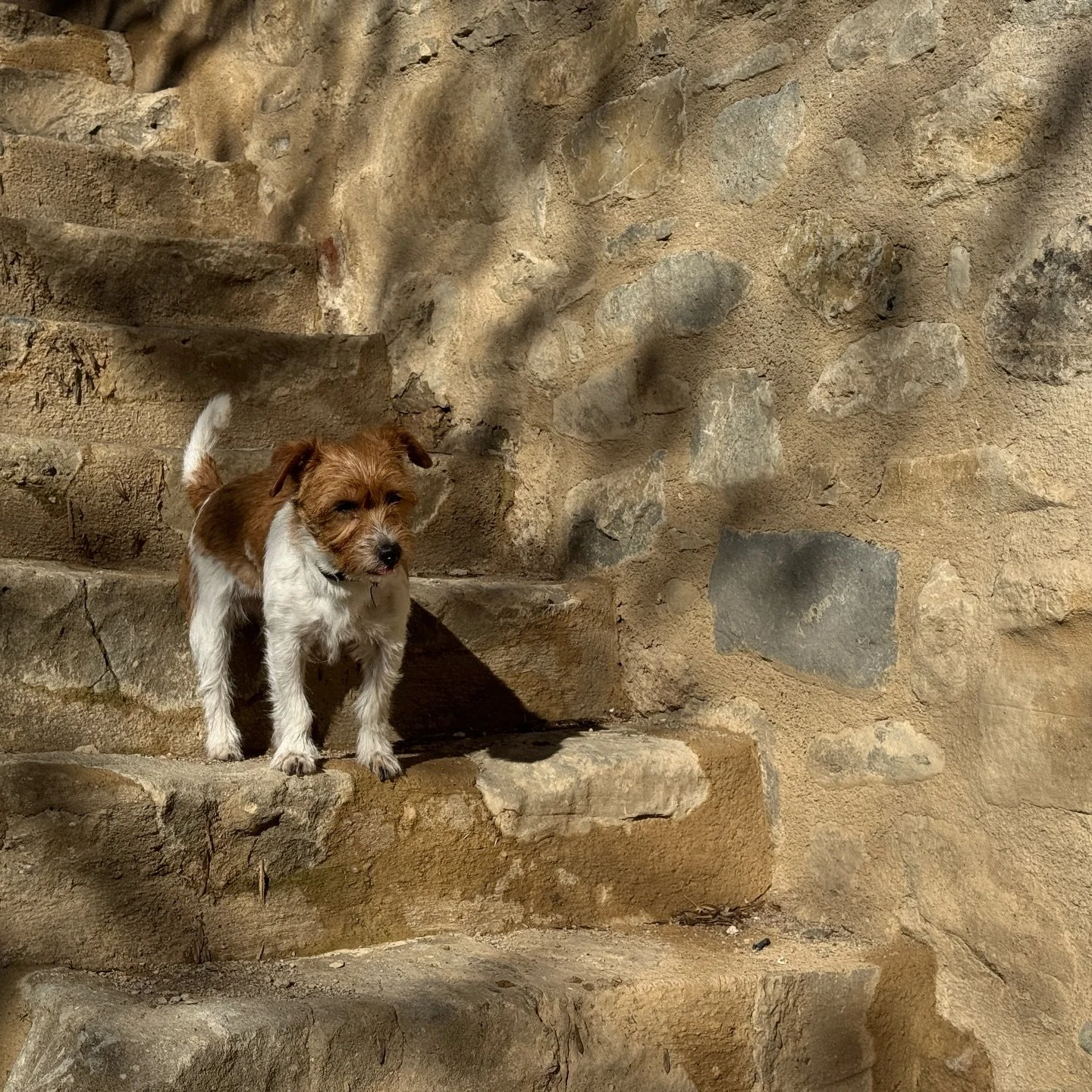 Pepper is excited to welcome you all this summer 🫶🏼