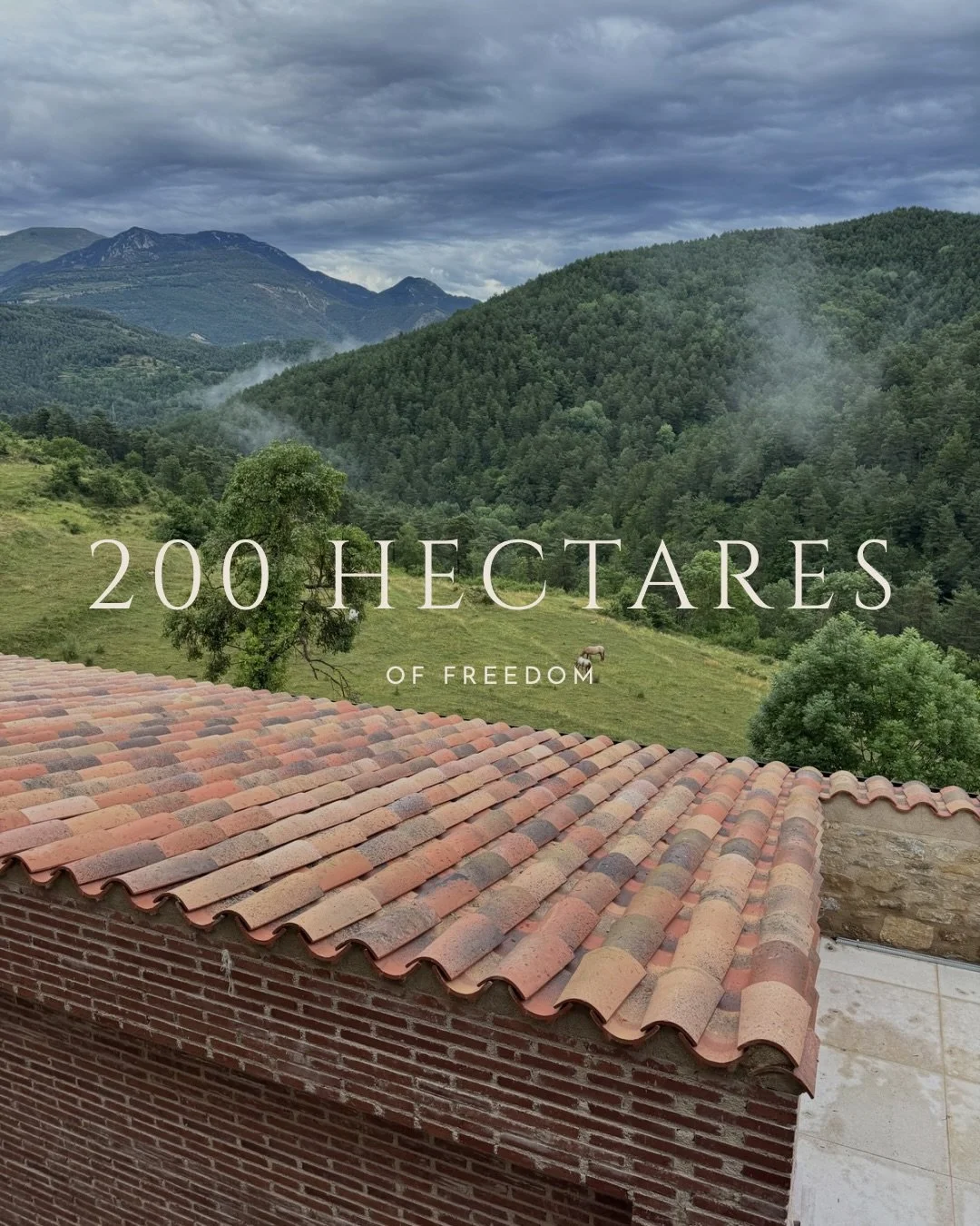 Space is the real luxury.

Explore the surroundings via our website 🔗

#naturelovers #slowtravel #digitaldetox #mountainescape #boutiquehotel