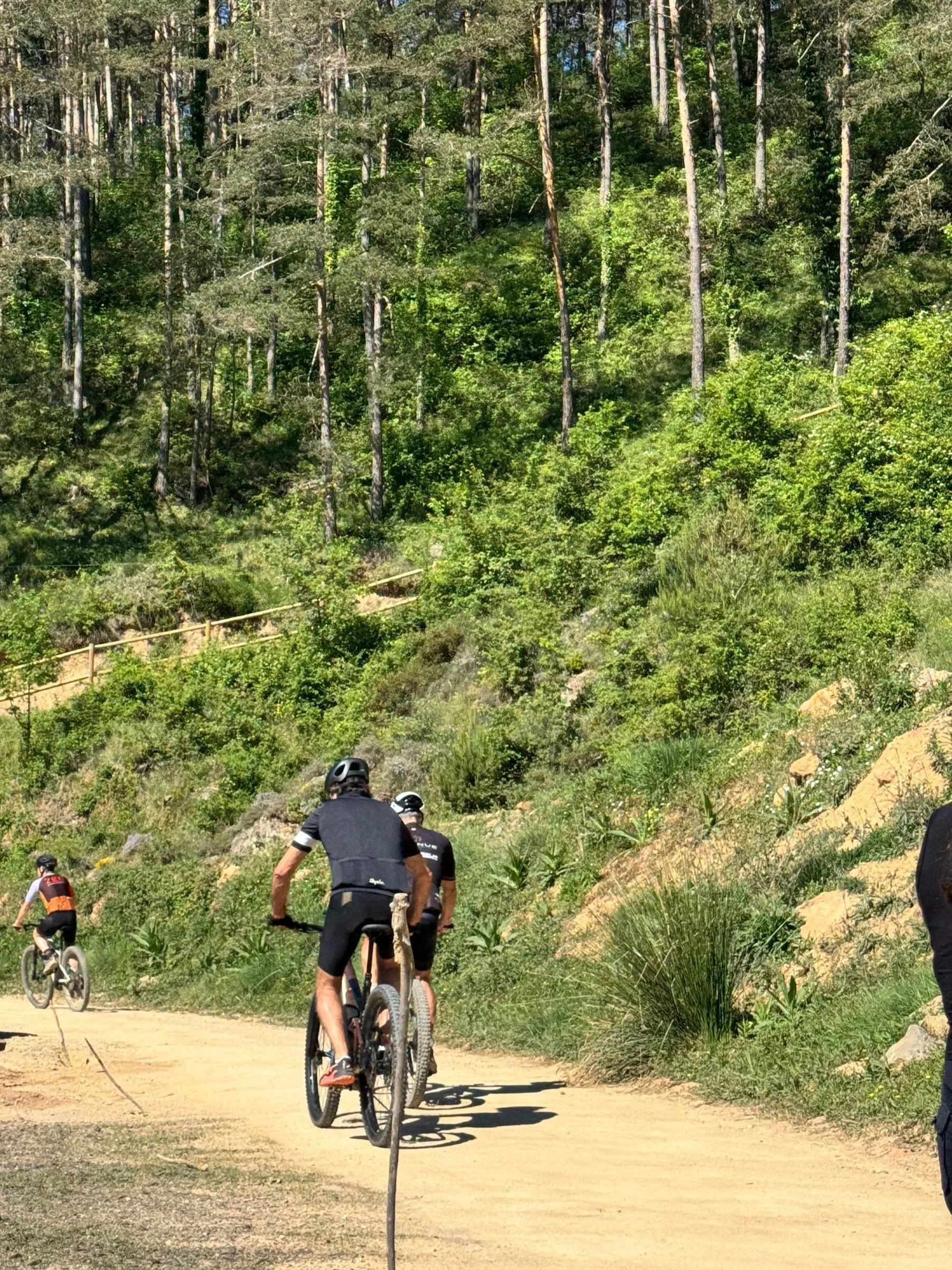 Mountain biking trail in the Spanish Pyrenees near Seven By Bussacs