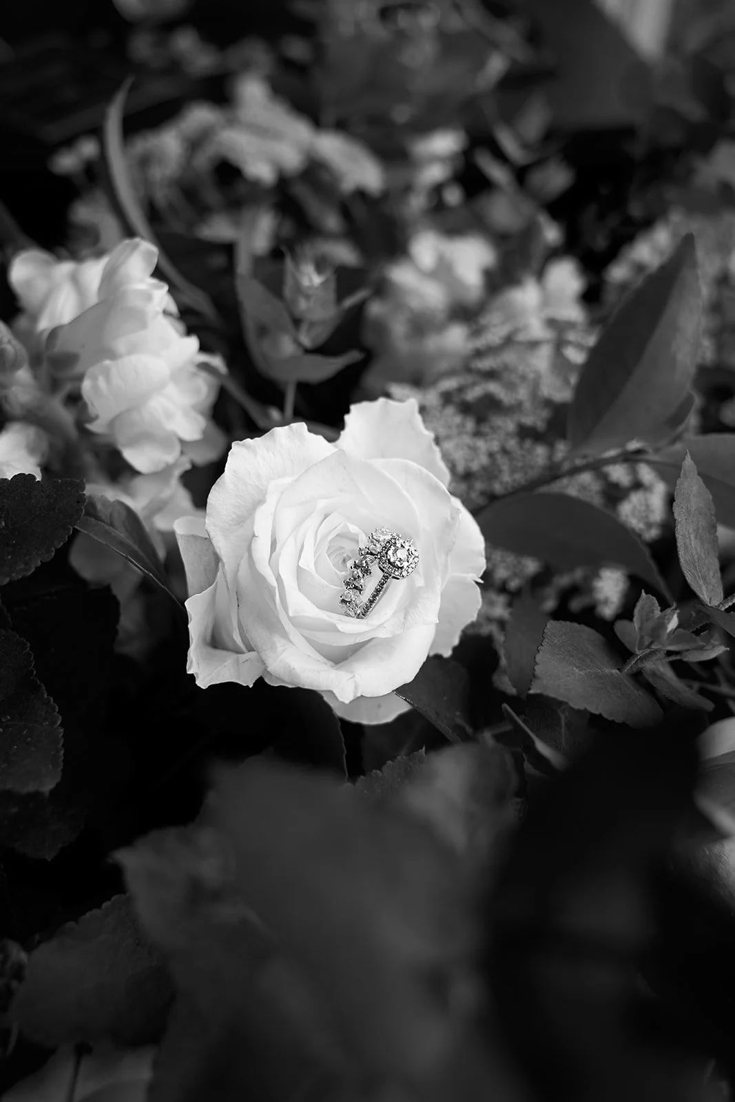 20241130-_DSC3346_websize.jpg