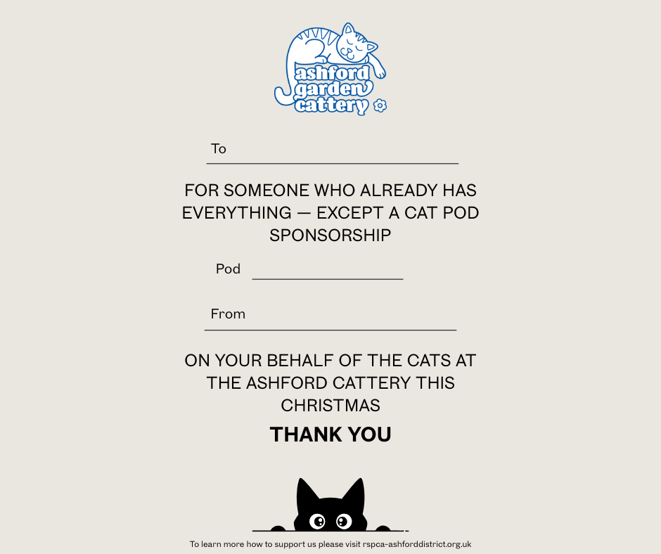 Front cover page (11).png