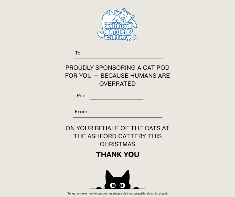 Front cover page (12).png