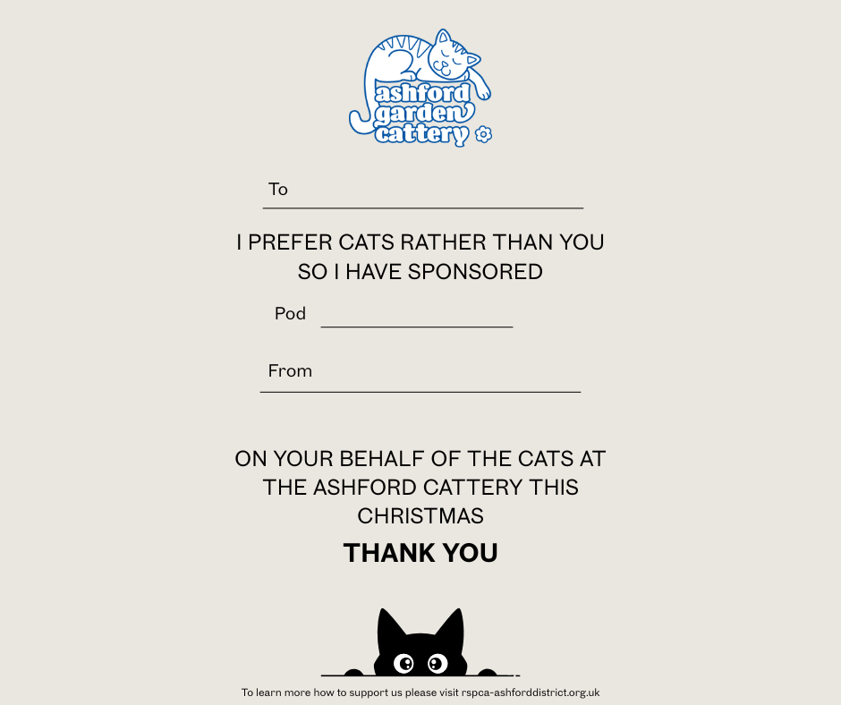 Front cover page (8).png