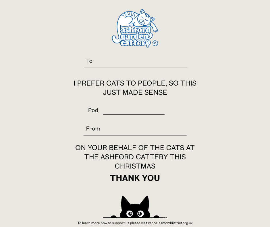 Front cover page (13).png