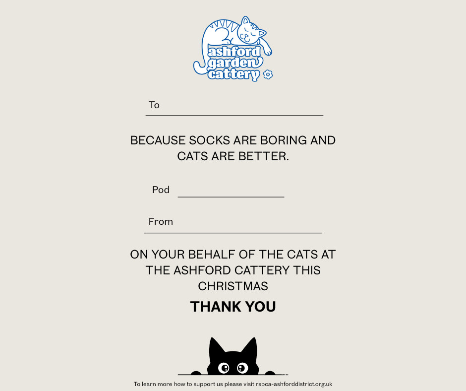 Front cover page (10).png