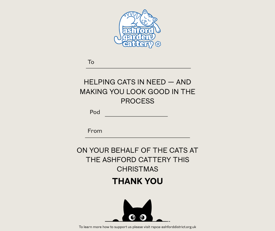 Front cover page (14).png