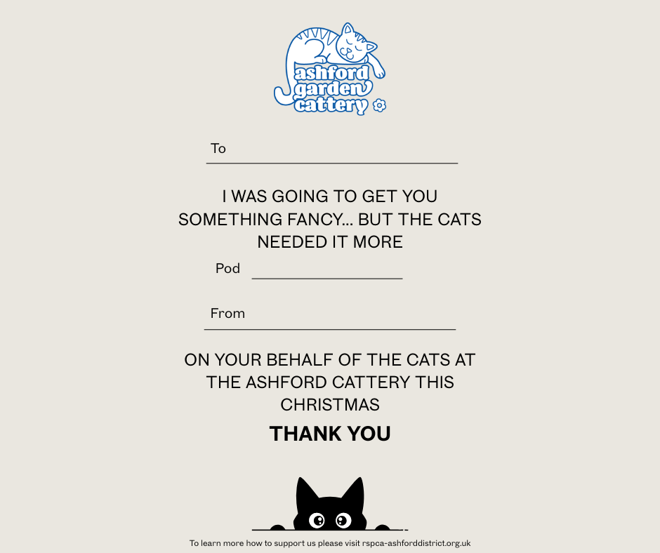 Front cover page (15).png