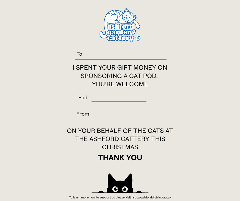 Front cover page (9).png