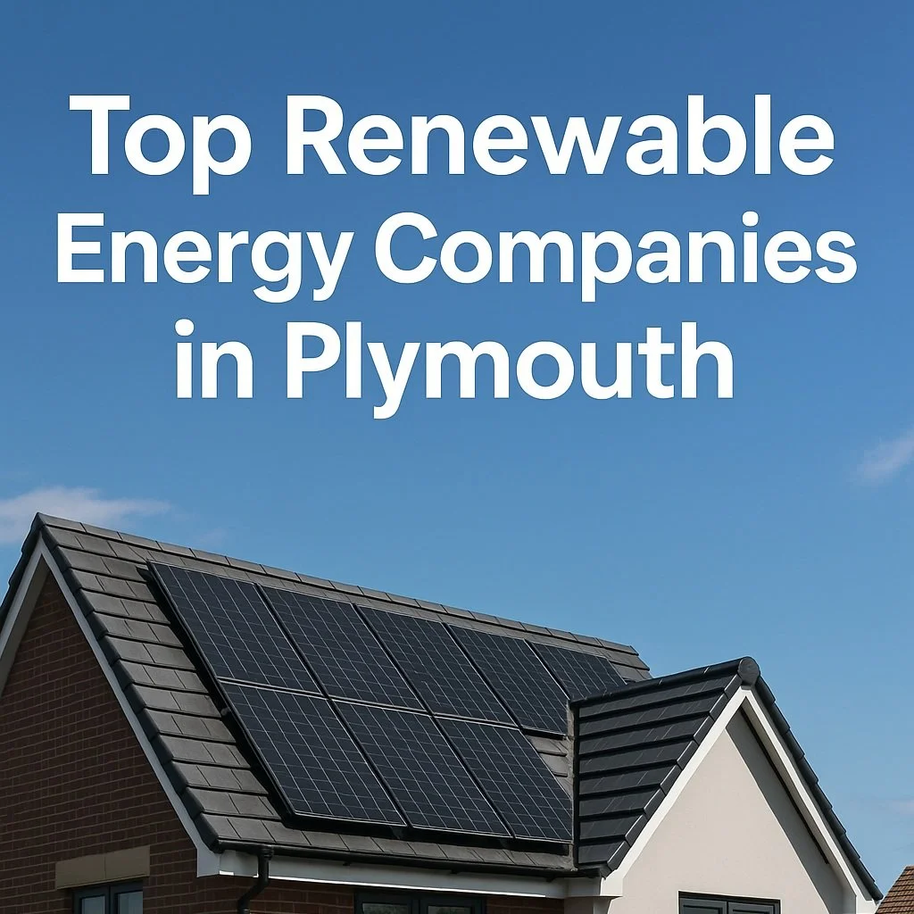 Top Renewable Energy Companies in Plymouth (And Why Cole Energy Stands Out)