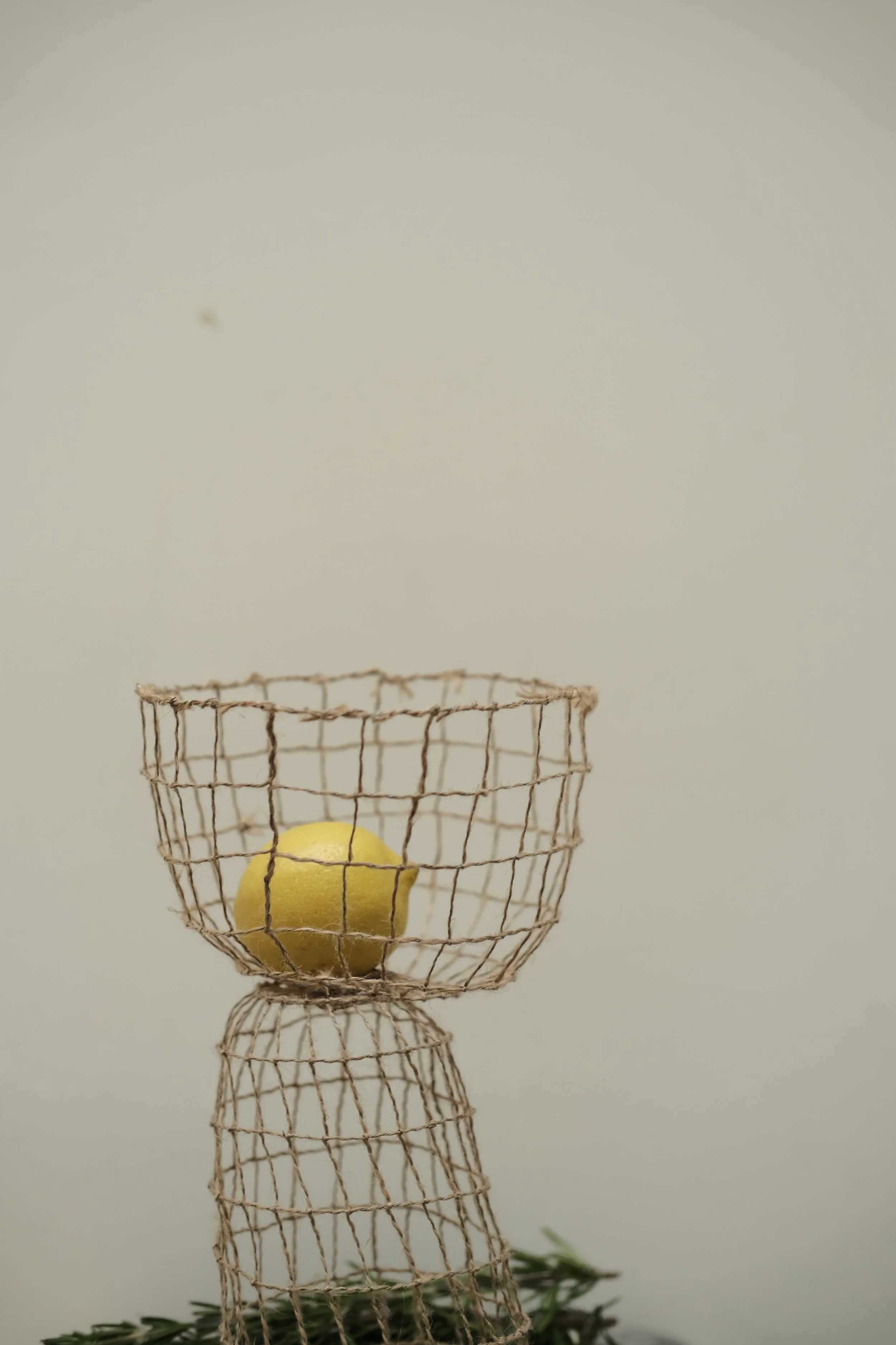 DSCF4890.JPG