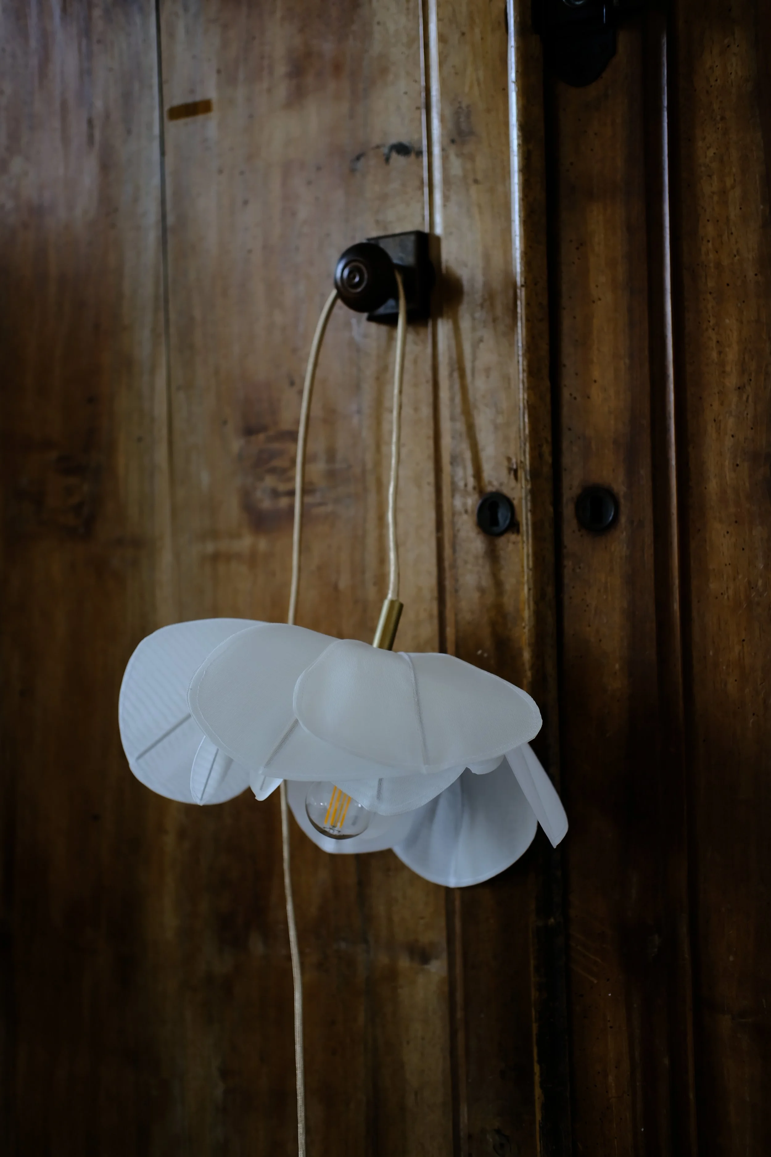 DSCF4553.JPG