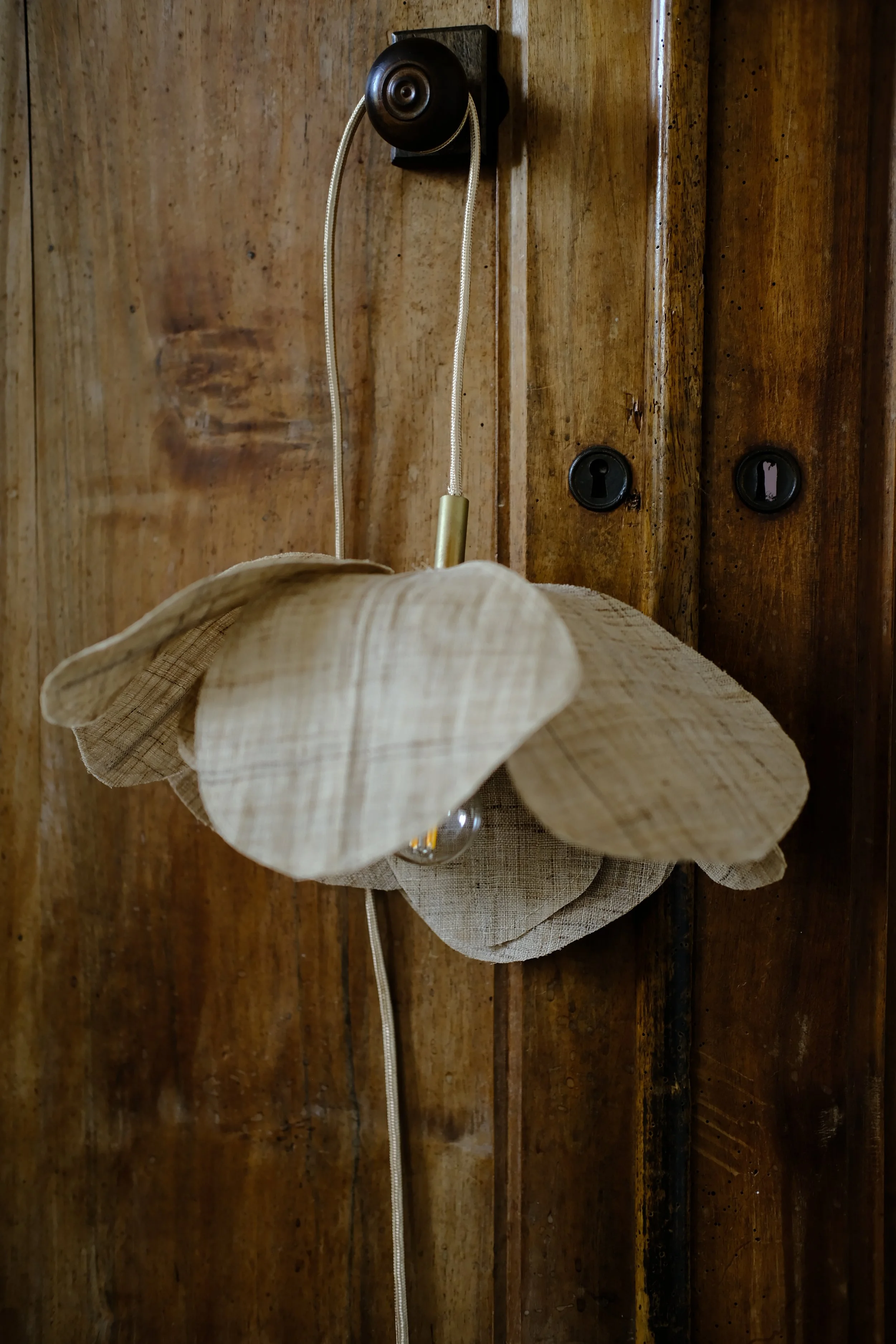 DSCF4556.JPG