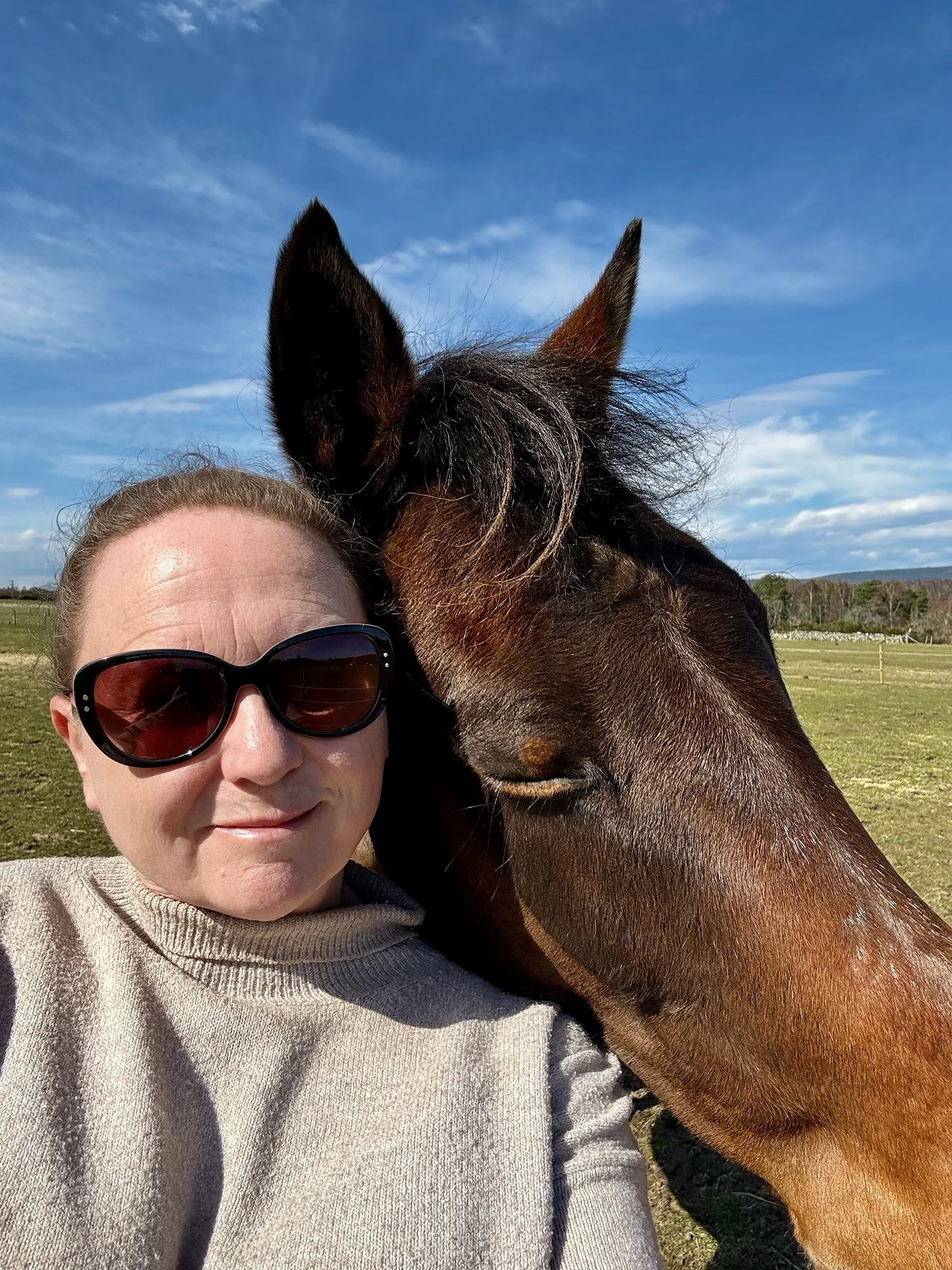 A woman with sunglasses and a beige sweater taking a selfie with a horse outside on a sunny day.