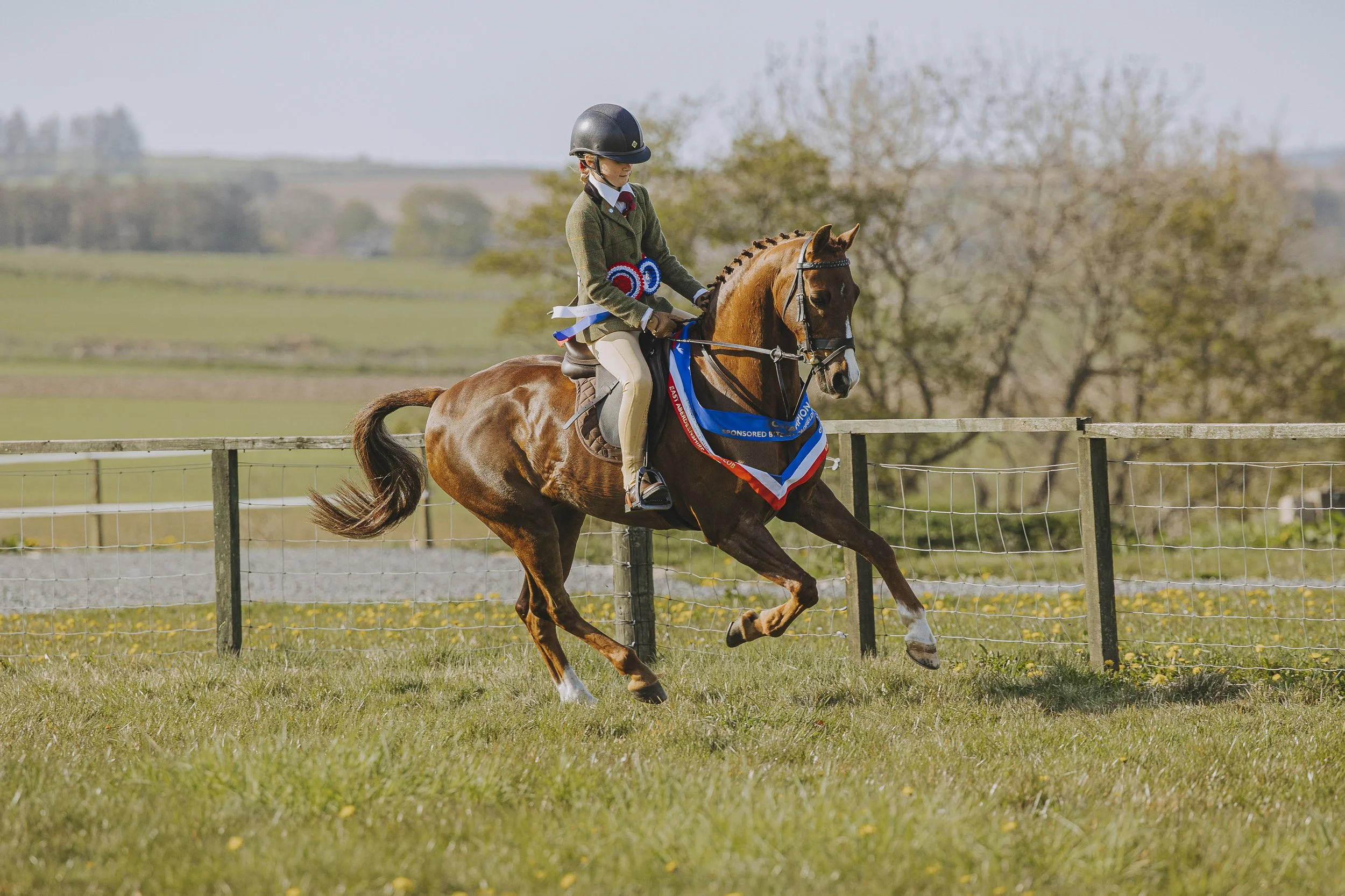 winner of east Aberdeenshire pony club show