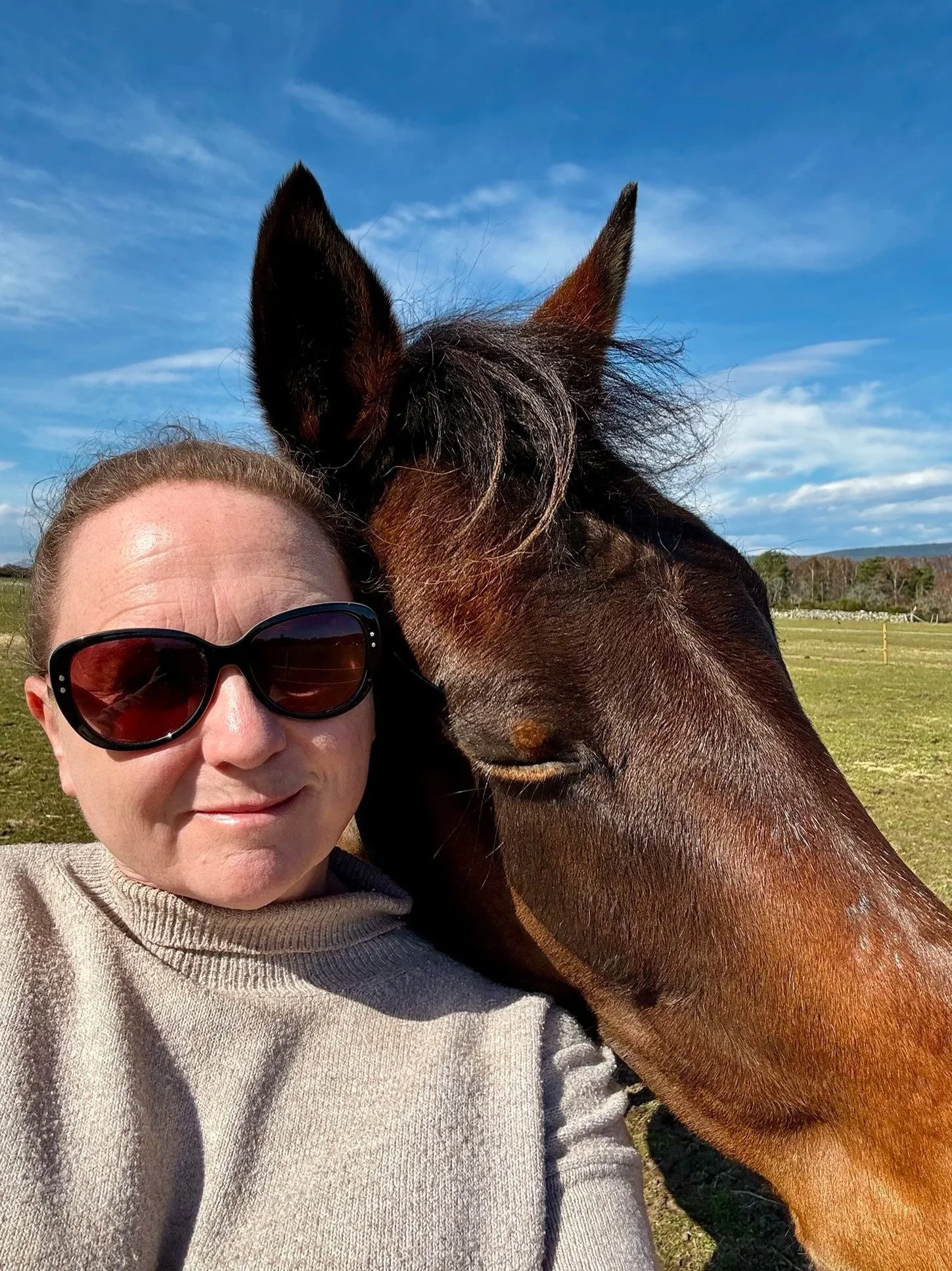 A woman wearing sunglasses and a beige sweater is taking a selfie with a brown horse outdoors on a sunny day. The horse's face is close to the woman's head. The background shows a grassy field and a blue sky with some clouds.