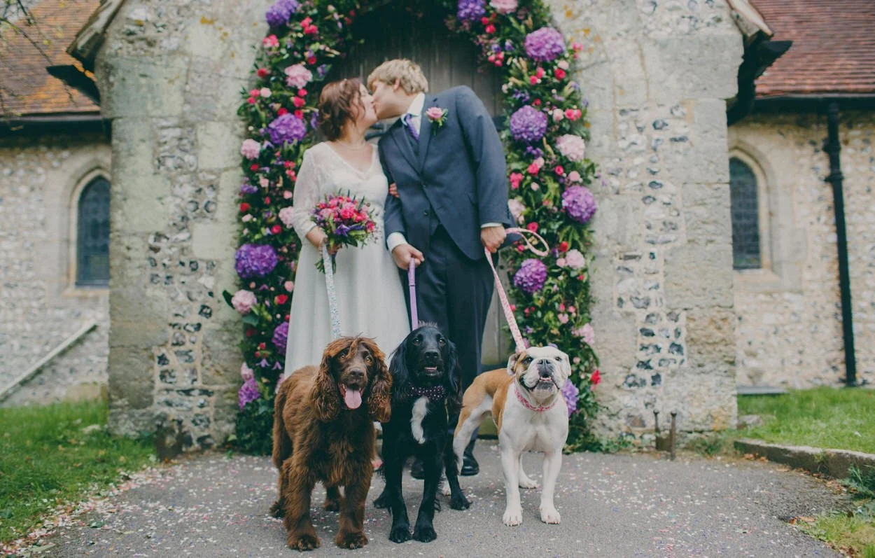 A couple in wedding attire kissing in front of a floral arch with three dogs in front of them, at a church or historic building.