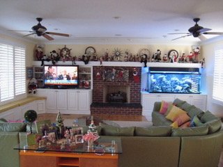 IMG_3800.jpeg