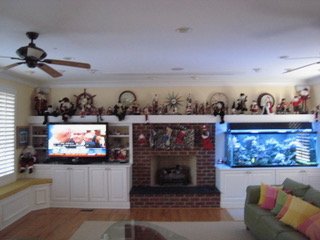 IMG_3804.jpeg