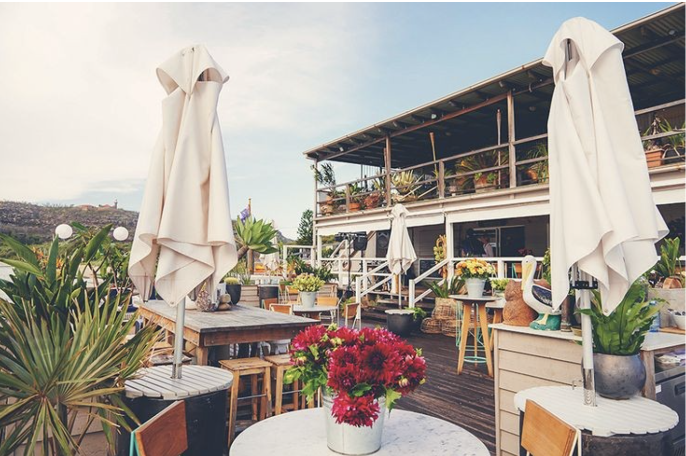 Screenshot 2025-06-14 at 1.18.56 PM.png