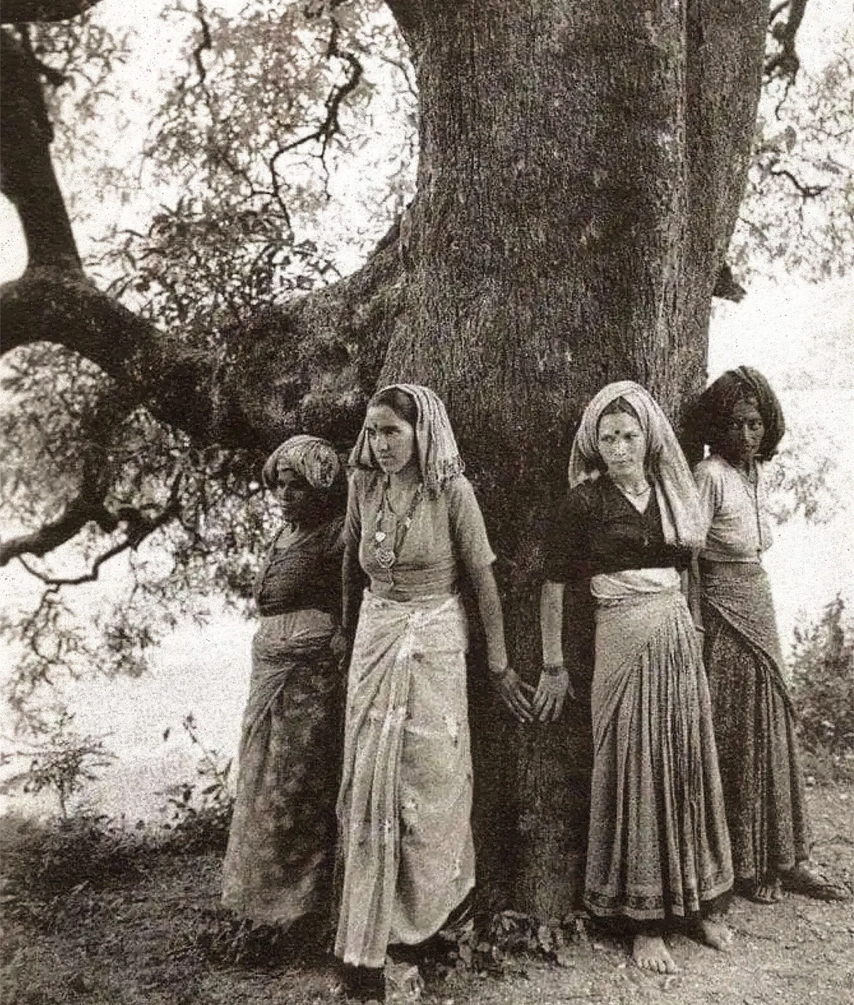The Chipko Movement