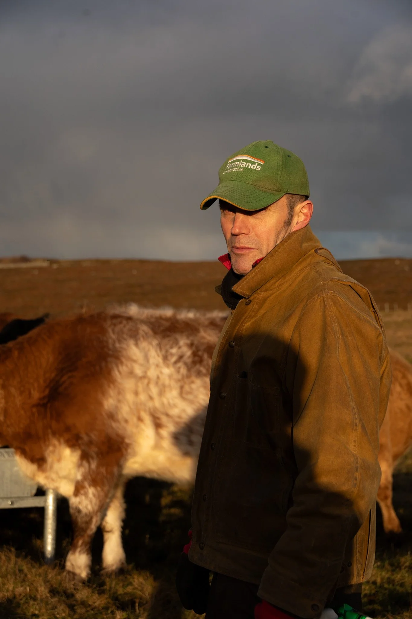 A man wearing a green cap and brown jacket standing outdoors near cattle, with hills and dark clouds in the background.
