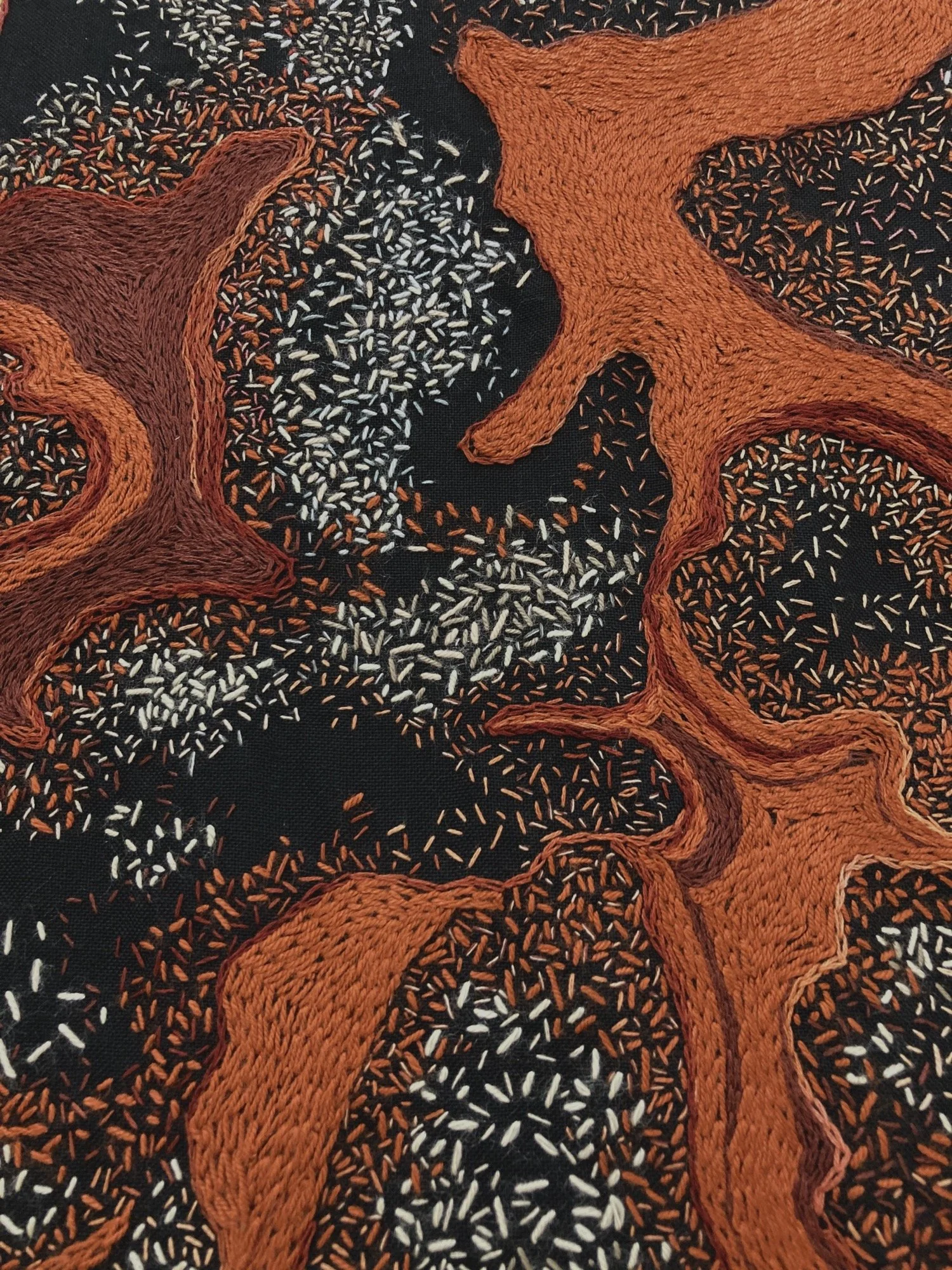Detail of embroidery of Nongqawuse's cloak by Tamar Mason