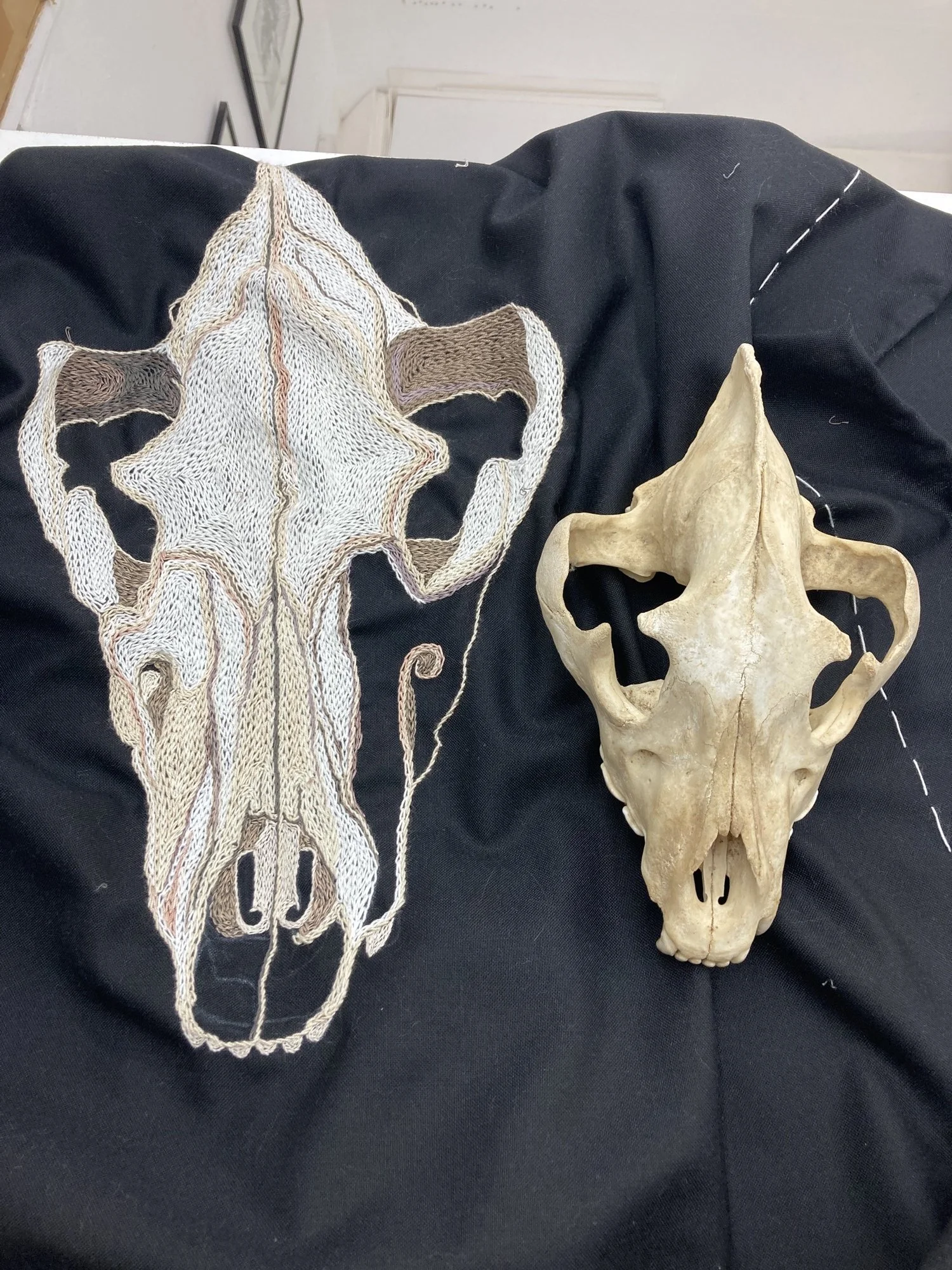 Embroidering a hyaena skull Tamar Mason