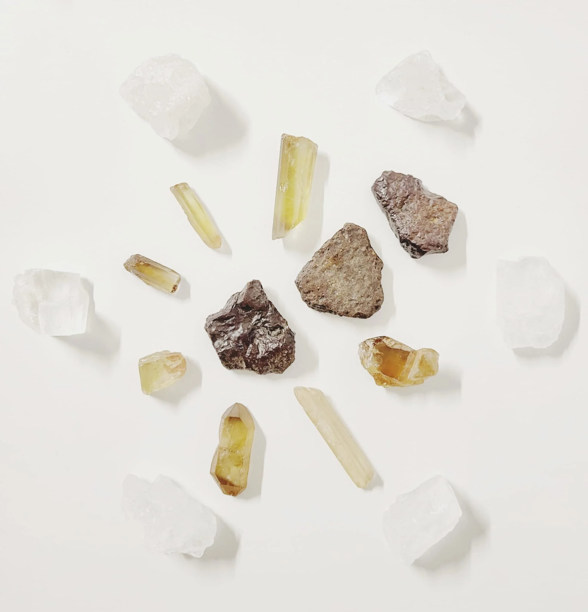 WhatsApp Image 2025-06-08 at 16.35.03_Citrin_Tsesit_hell.jpeg