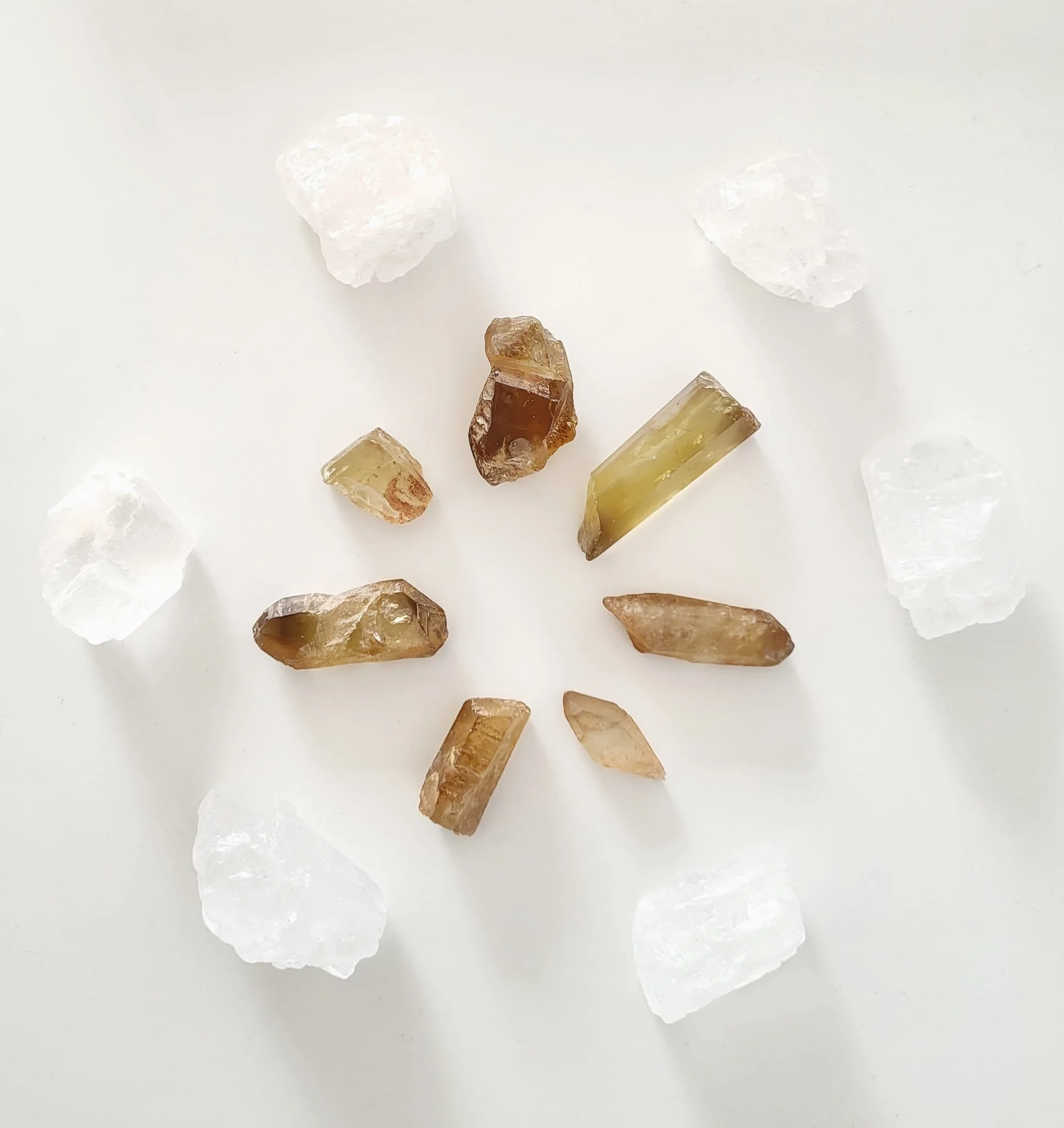 WhatsApp Image 2025-06-08 at 16.29.29_Citrin.jpeg