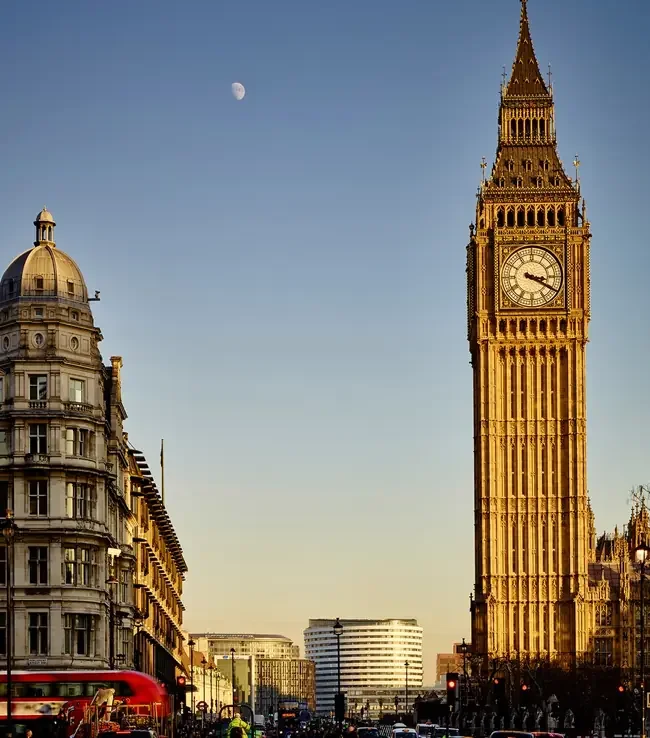 DLD College London.webp