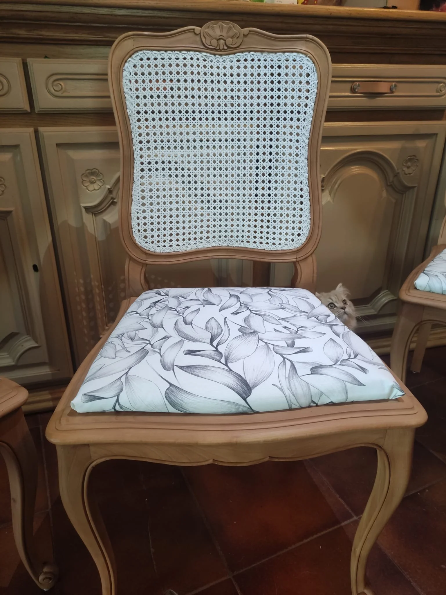 WhatsApp Image 2026-03-01 at 16.02.48.jpeg