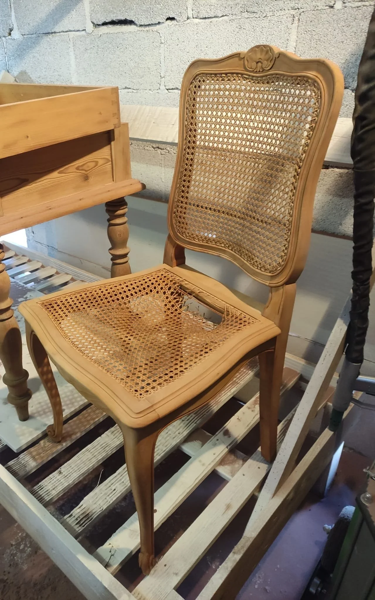 WhatsApp Image 2026-03-01 at 16.02.49 (4).jpeg