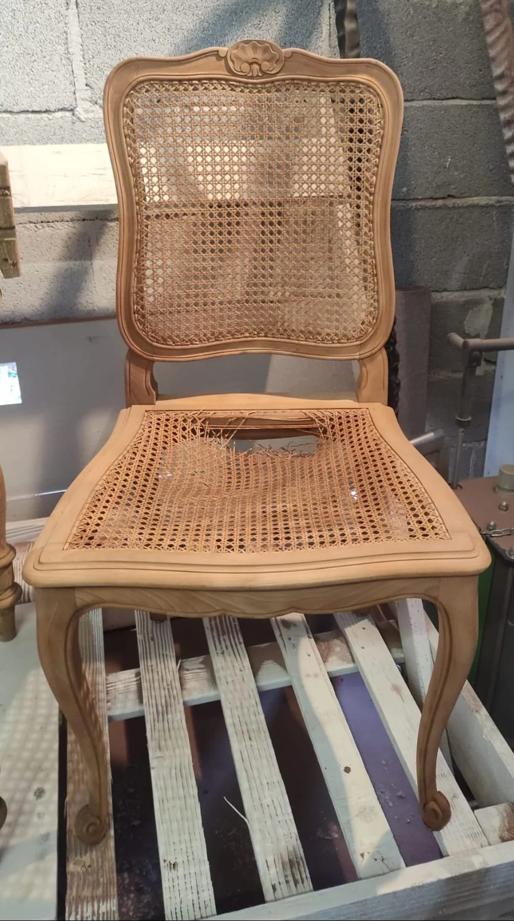 WhatsApp Image 2026-03-01 at 16.02.49 (5).jpeg