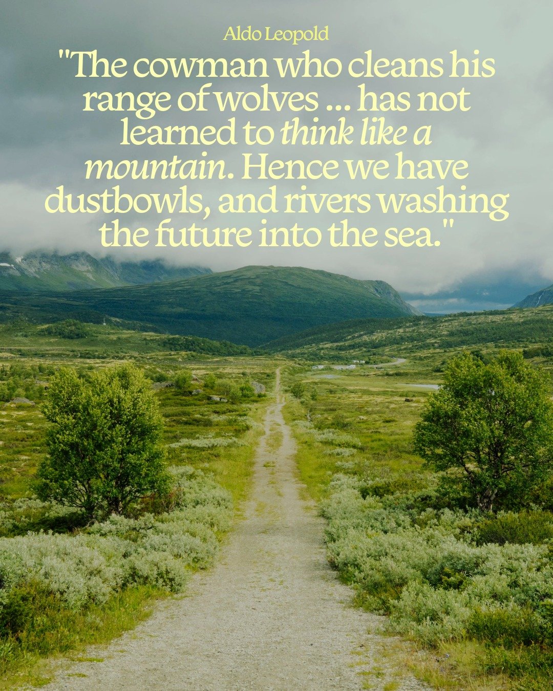 This quote is from Aldo Leopold's 1949 conservation classic A Sand County Almanac, specifically the essay "Thinking Like a Mountain".

What did he mean by that? Without wolves, there are too many deer, which puts a heavy strain on the veget