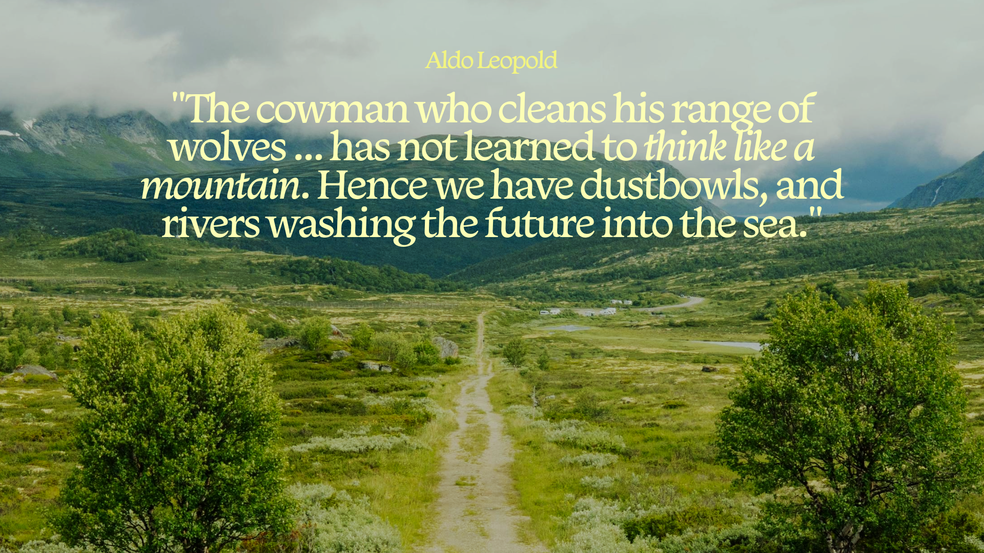 Think like a mountain