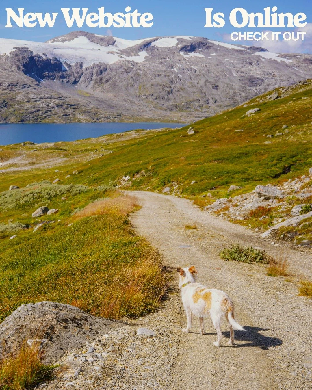 New website is online! Please feel free to have a look. Besides my services and some personal informations, you also find informations on "How to restore the water cycle" and the benefits this has for us all!

https://www.rainon.earth/
Link