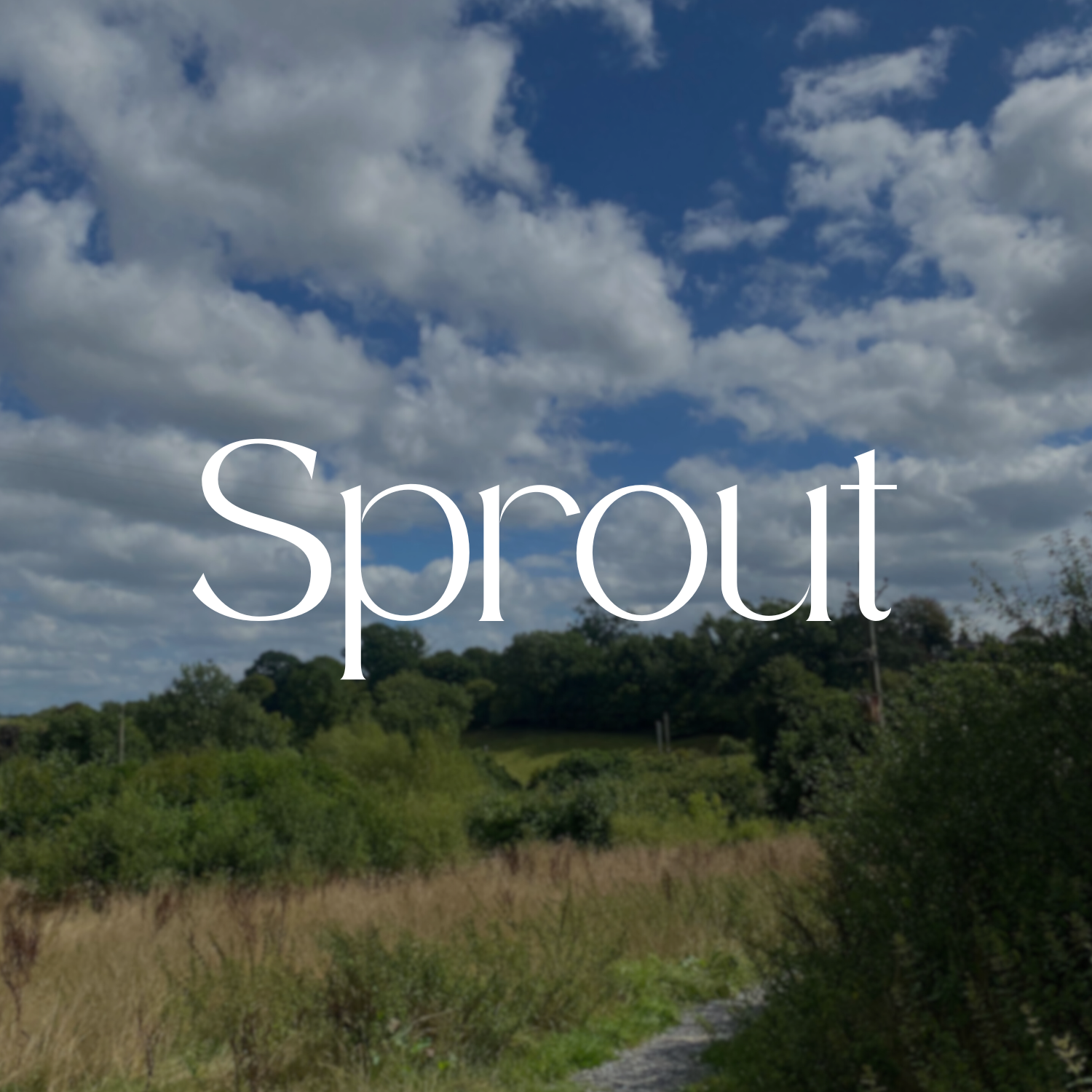 Landscape scene with green hills, trees, and clouds in the sky, overlaid with the word 'Sprout' in white text.