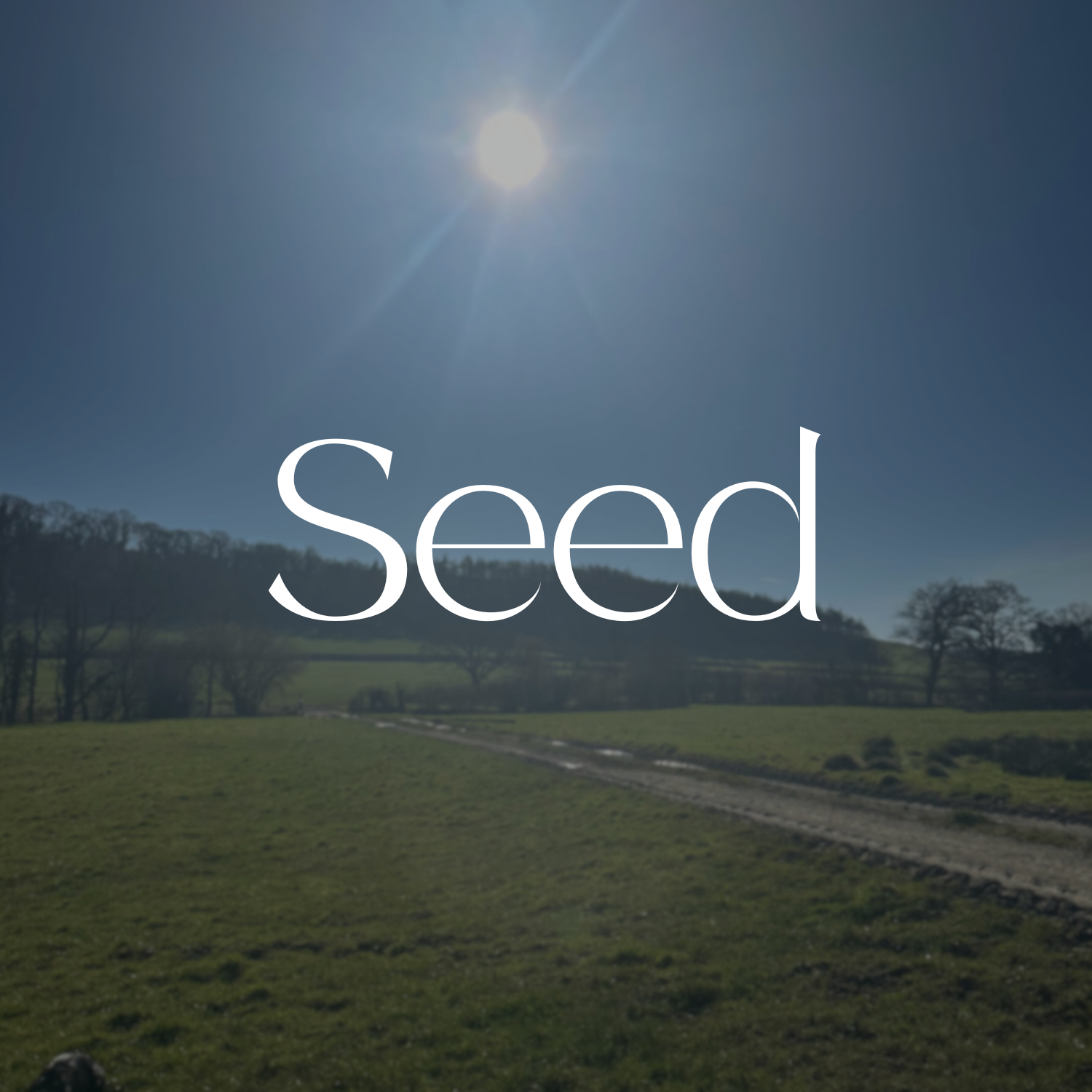 A bright sun in the clear blue sky over a green field with trees in the distance, with the word 'Seed' written in large white letters across the image.