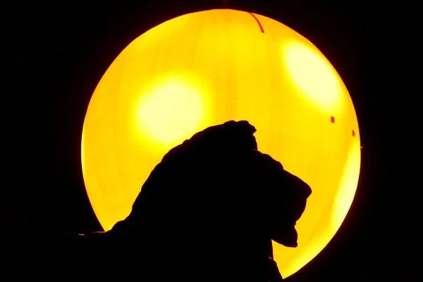gettyimages-137605935-594x594.jpg
